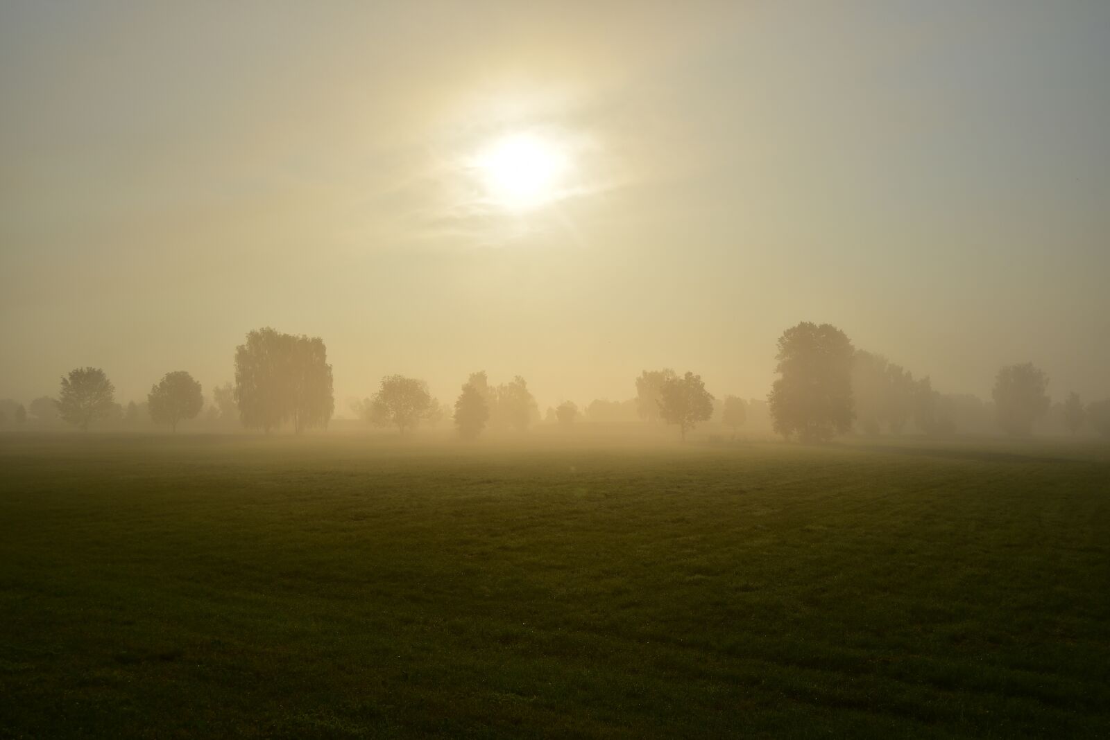 Nikon D750 sample photo. Sunrise, morning mist, nature photography