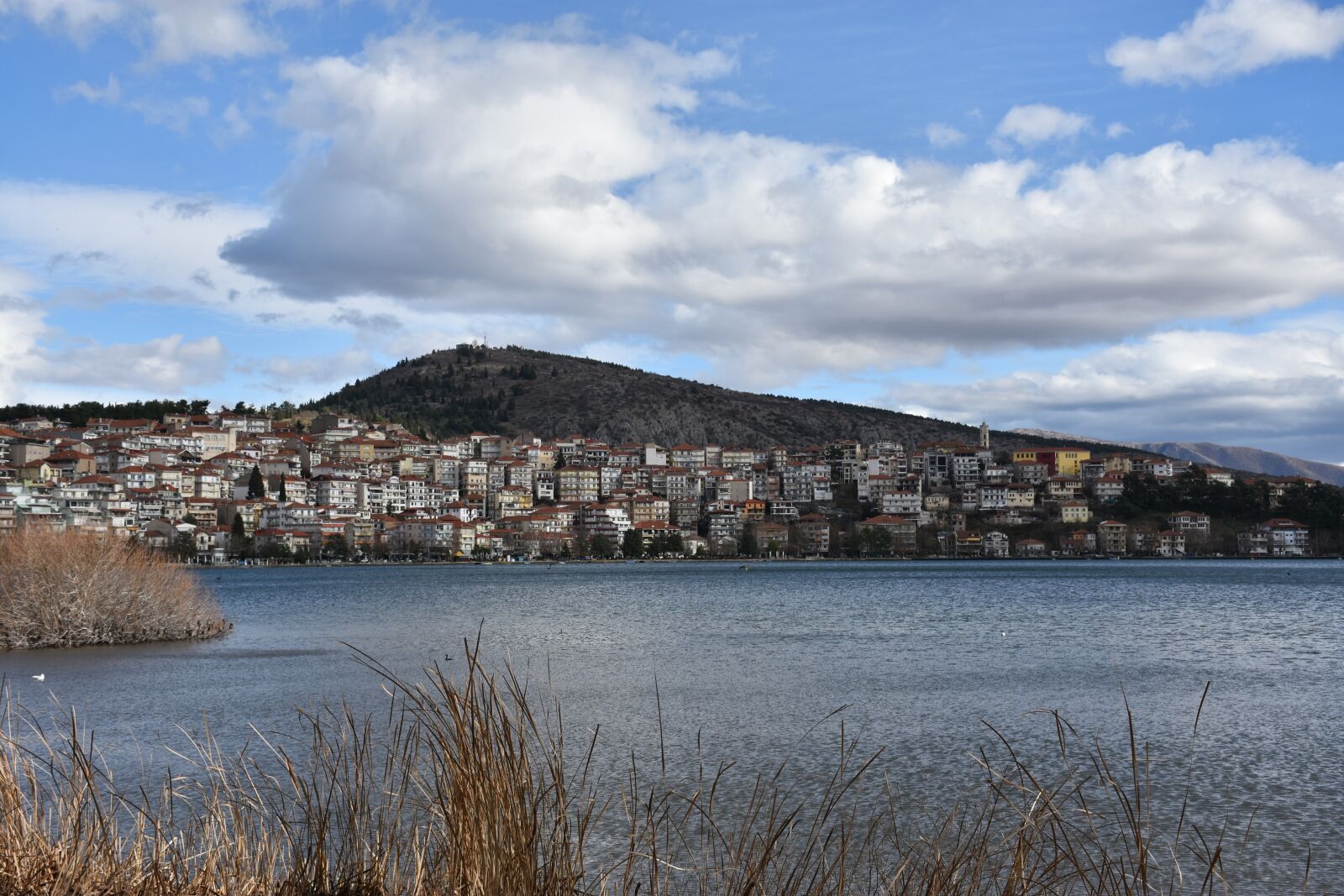 Nikon D7200 sample photo. Kastoria, duck, greece photography