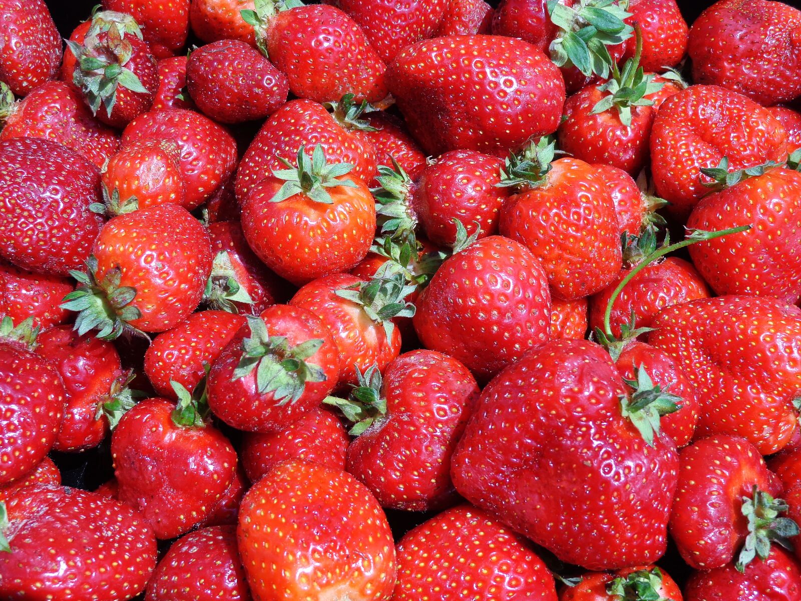 Sony Cyber-shot DSC-H90 sample photo. Strawberries, fruit, eating photography
