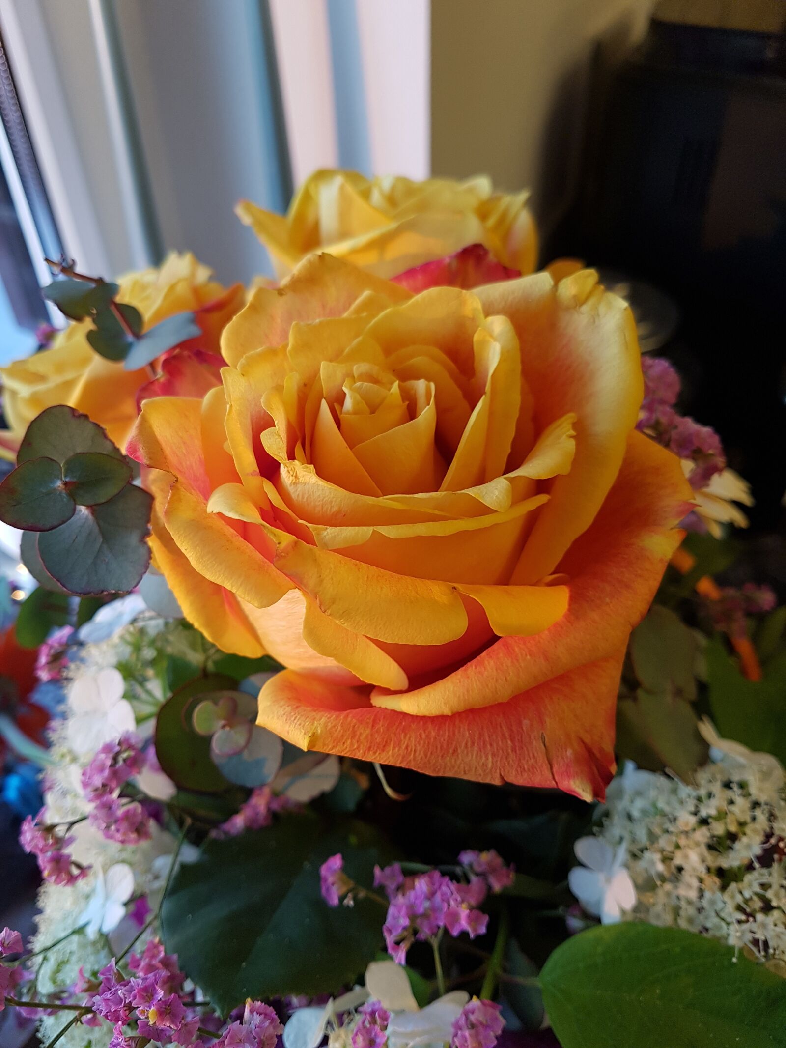 Samsung Galaxy S7 sample photo. Rose, orange, flower photography