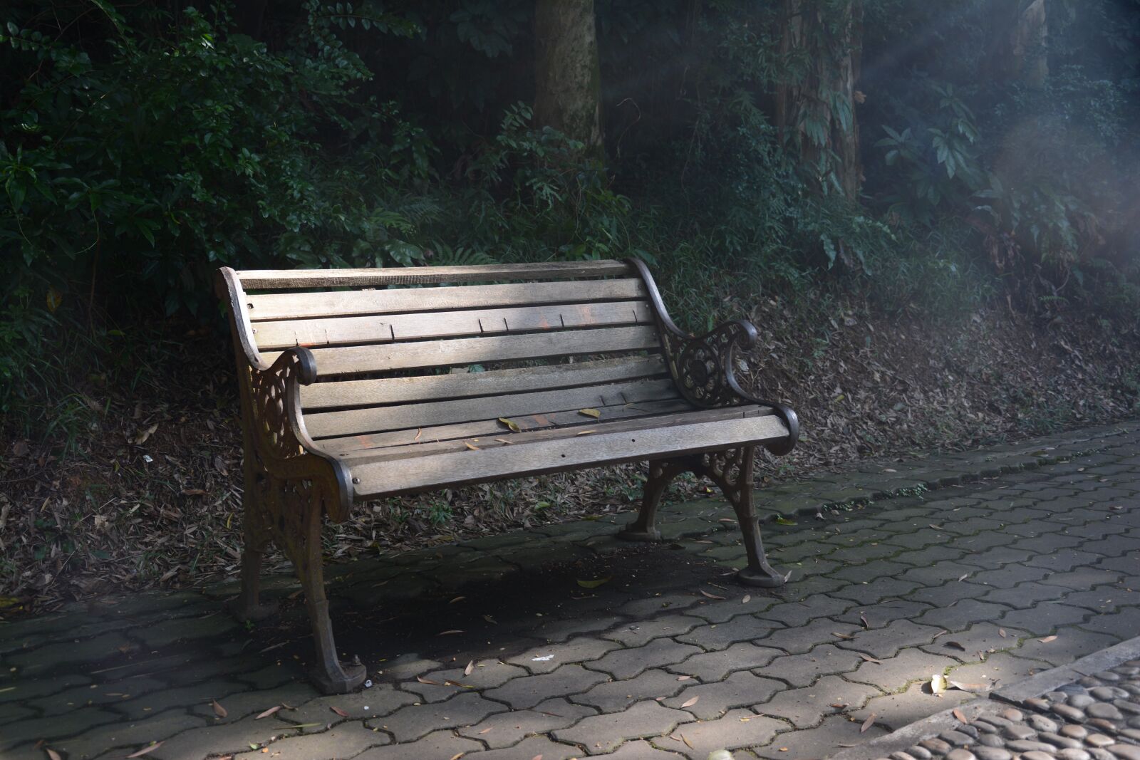 Nikon D7100 sample photo. Mellow, chair, park photography
