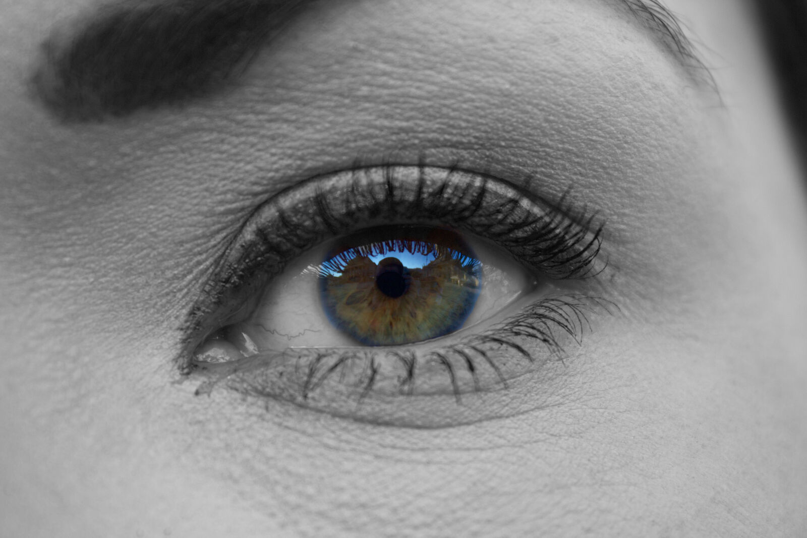 Canon EOS 650D (EOS Rebel T4i / EOS Kiss X6i) sample photo. Eye, eyelash, face, woman photography