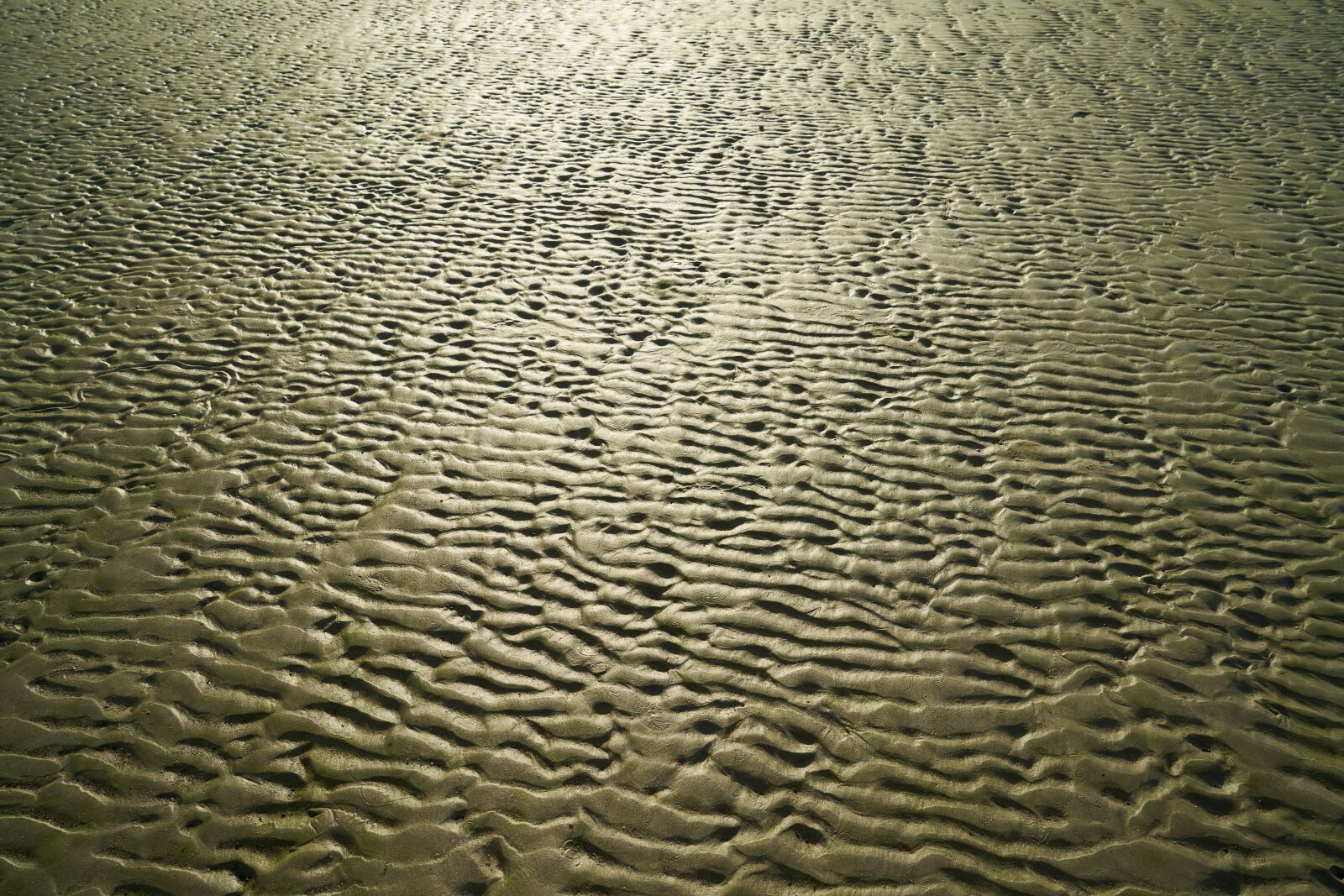 Sony a7R II sample photo. Beach, terry, solar photography