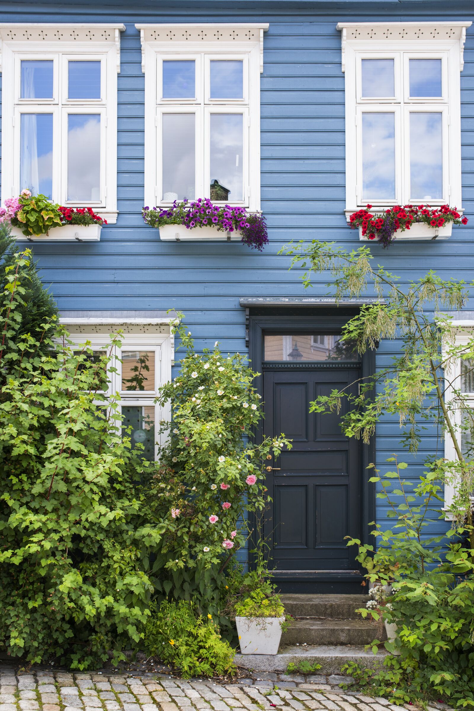 Nikon D750 sample photo. Windows, door, facade photography