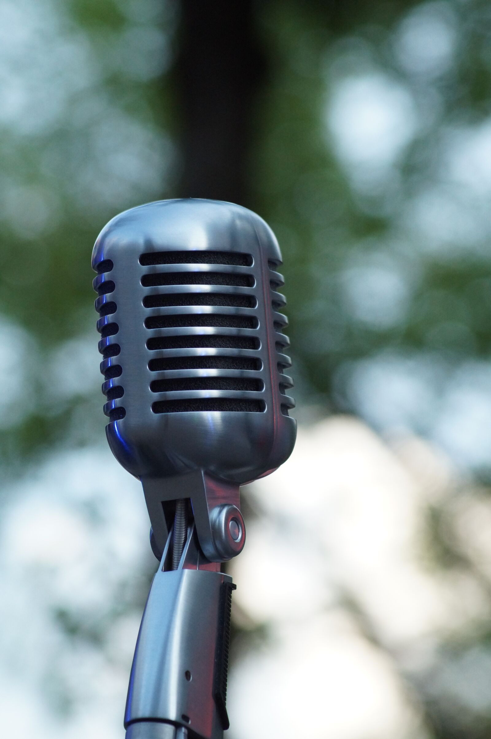 Sony SLT-A58 sample photo. Micro, microphone, audio photography