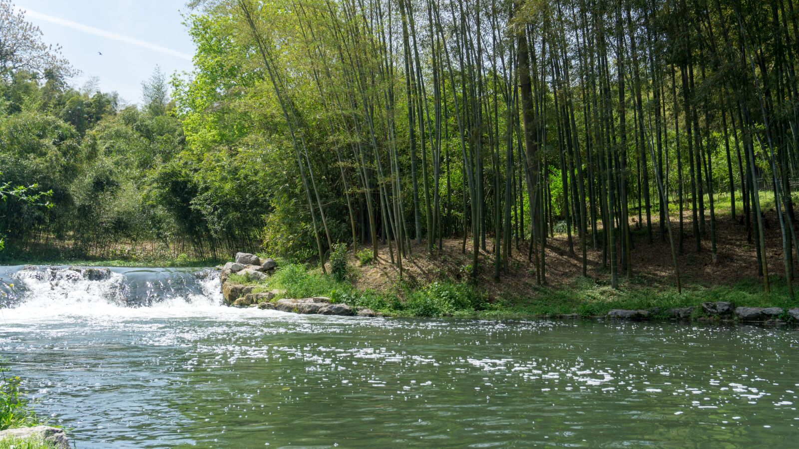 Sony a5100 sample photo. Waters, nature, river photography