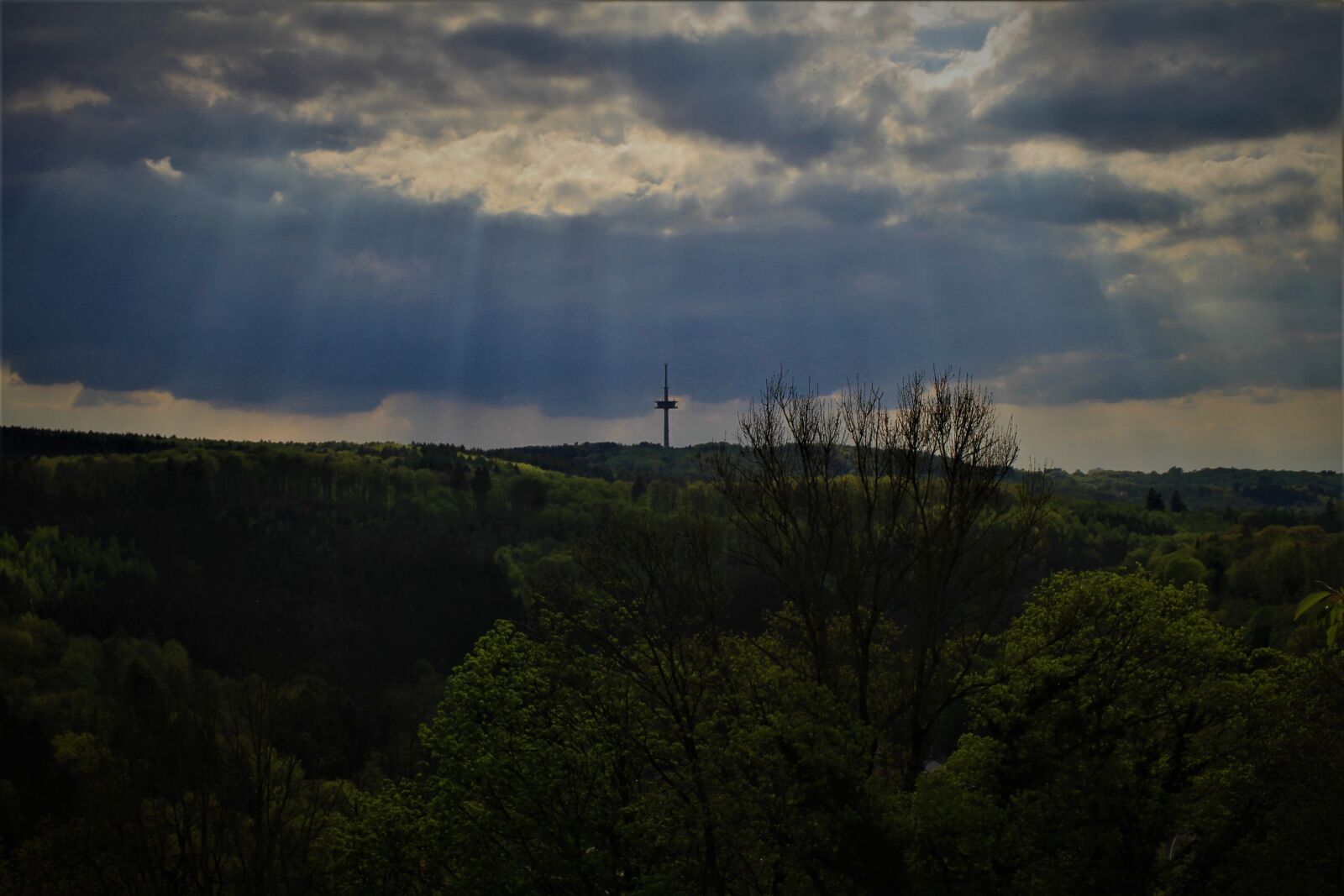 Canon EF-S 35mm F2.8 Macro IS STM sample photo. View, horizon, tv tower photography