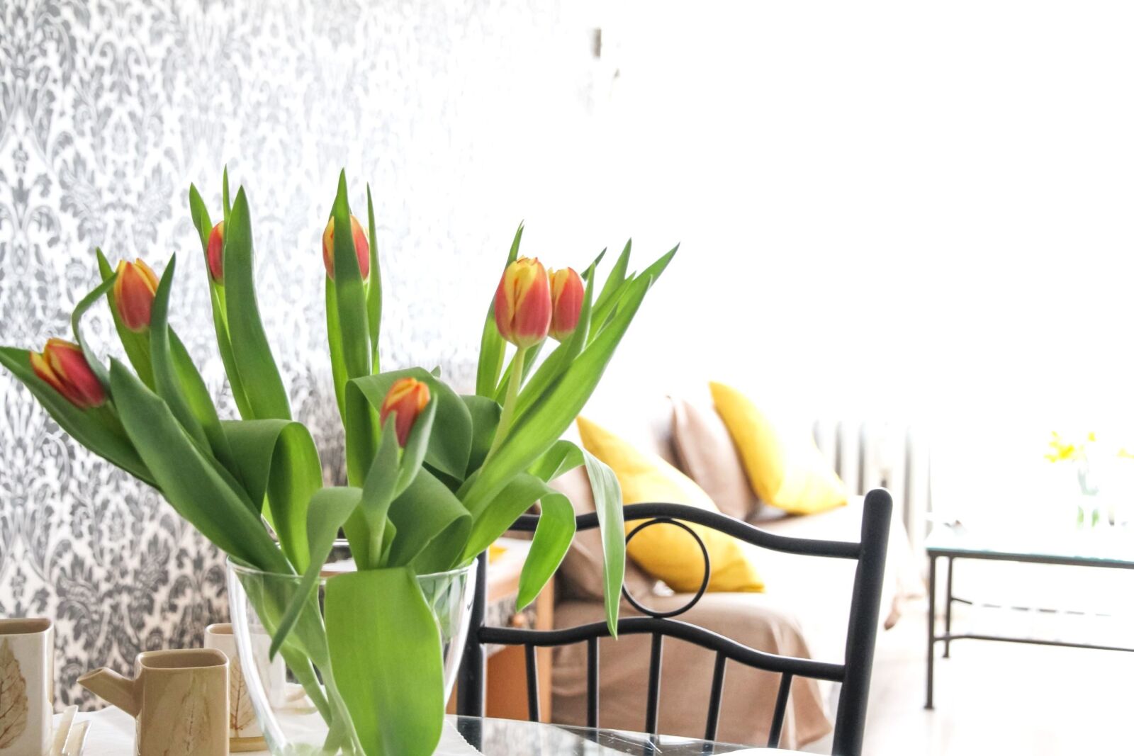 Canon EOS 7D sample photo. Plant, flower, spring, tulip photography