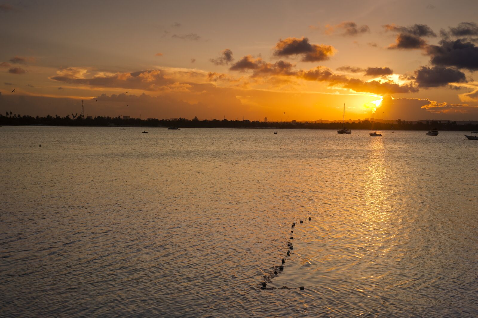 Nikon D3 sample photo. Dar es salaam, indian photography