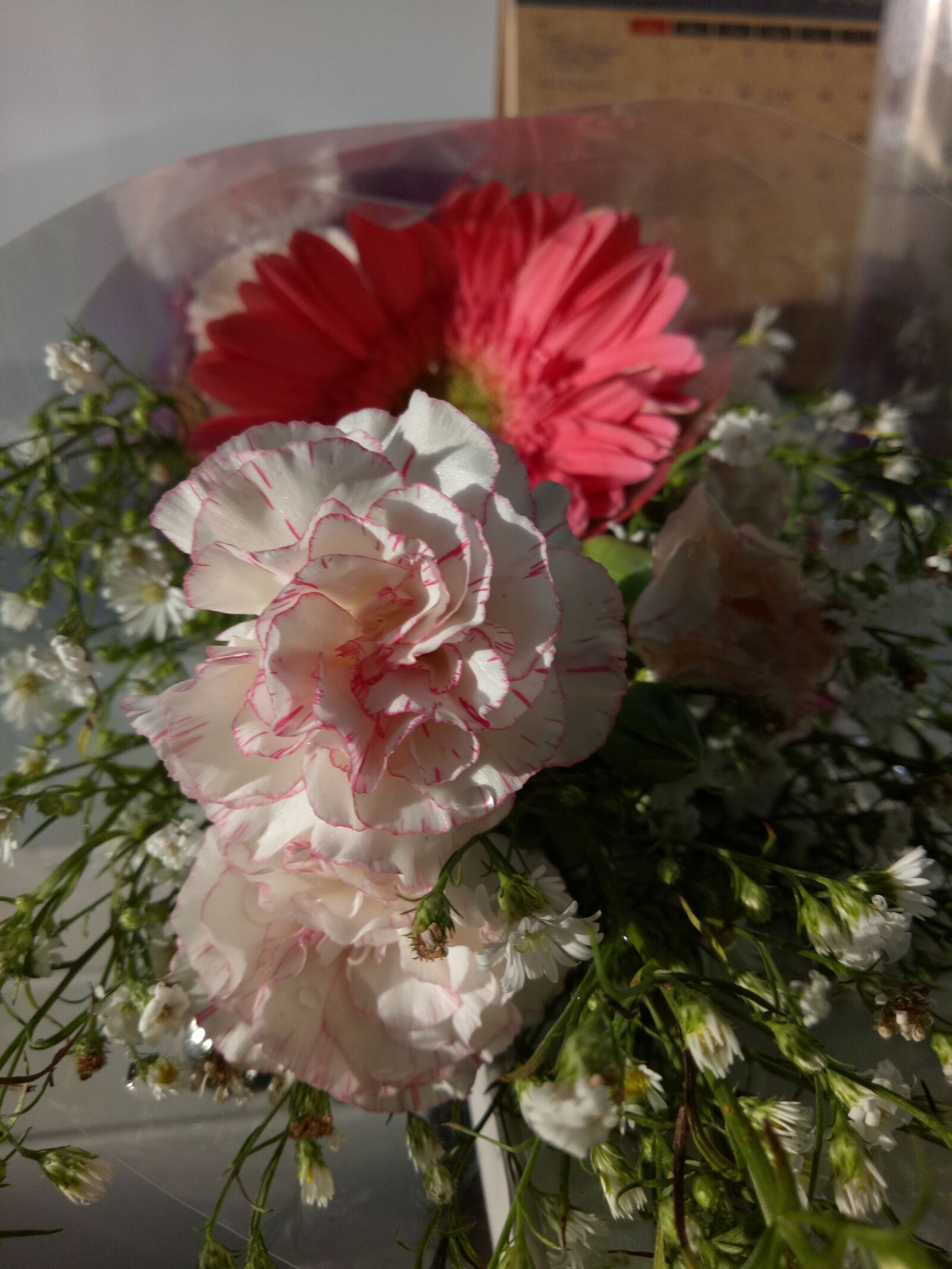 OPPO A1601 sample photo