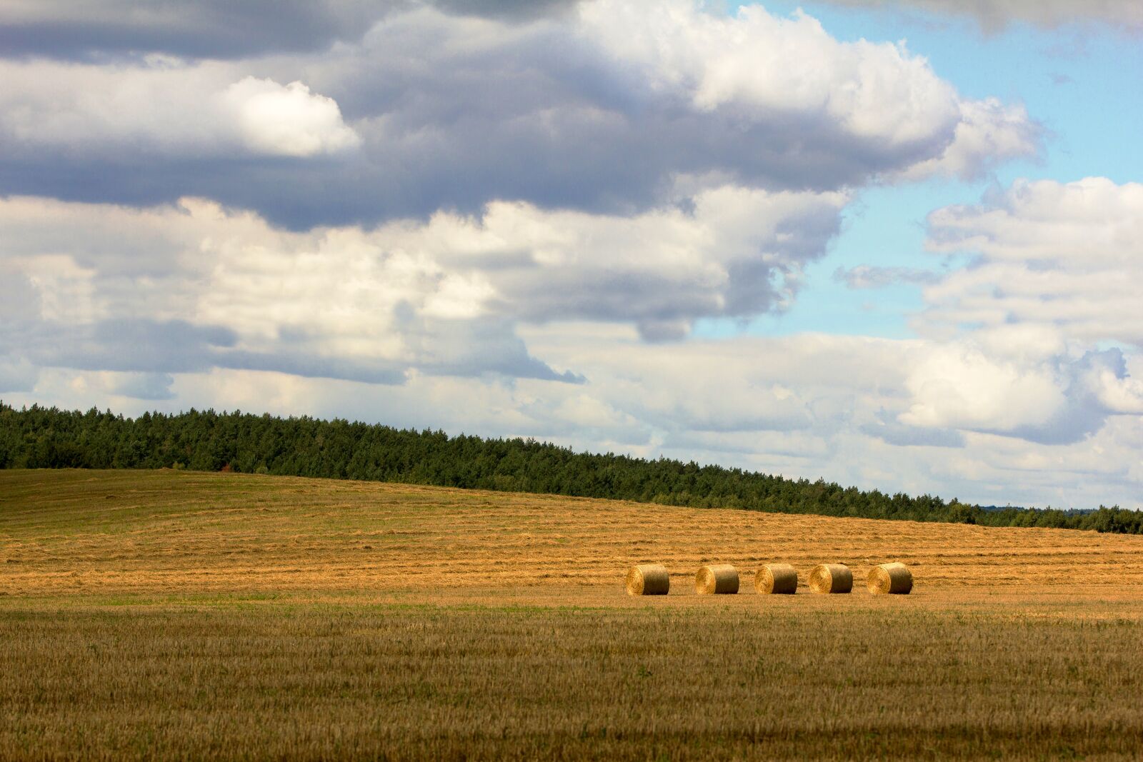 Canon EOS 60D sample photo. Field, stack, landscape photography