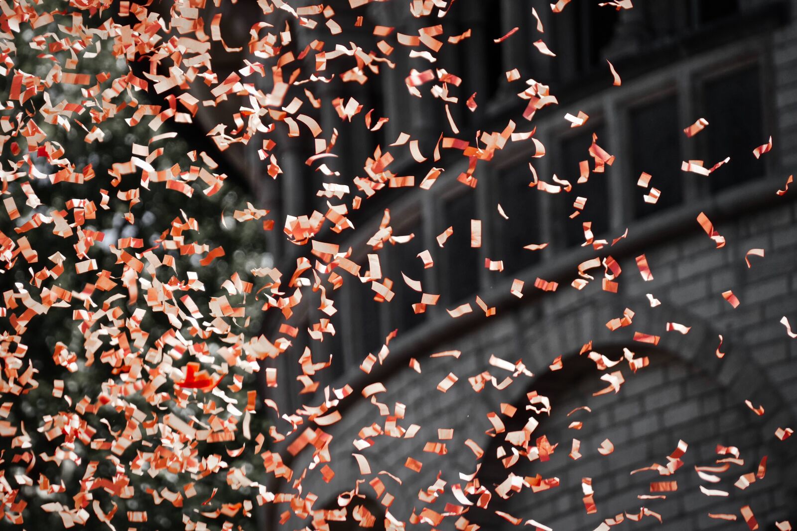 Panasonic Lumix DMC-FZ1000 sample photo. Leaves, wind, confetti photography