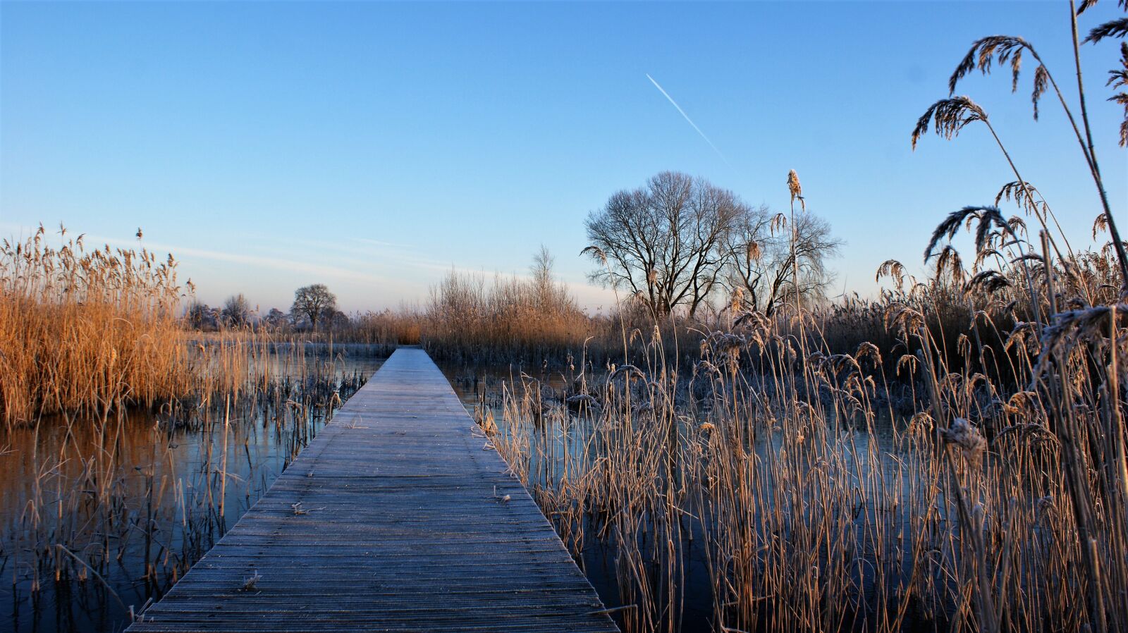 Sony Alpha DSLR-A350 sample photo. Winter, frozen, ripe bridge photography
