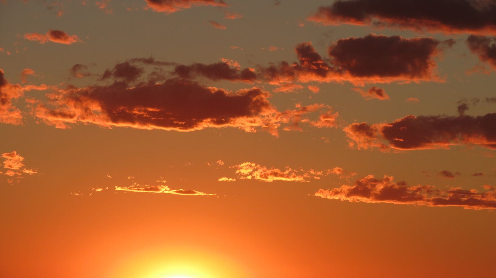 Canon PowerShot SX40 HS sample photo. Sunset, sky, sun photography