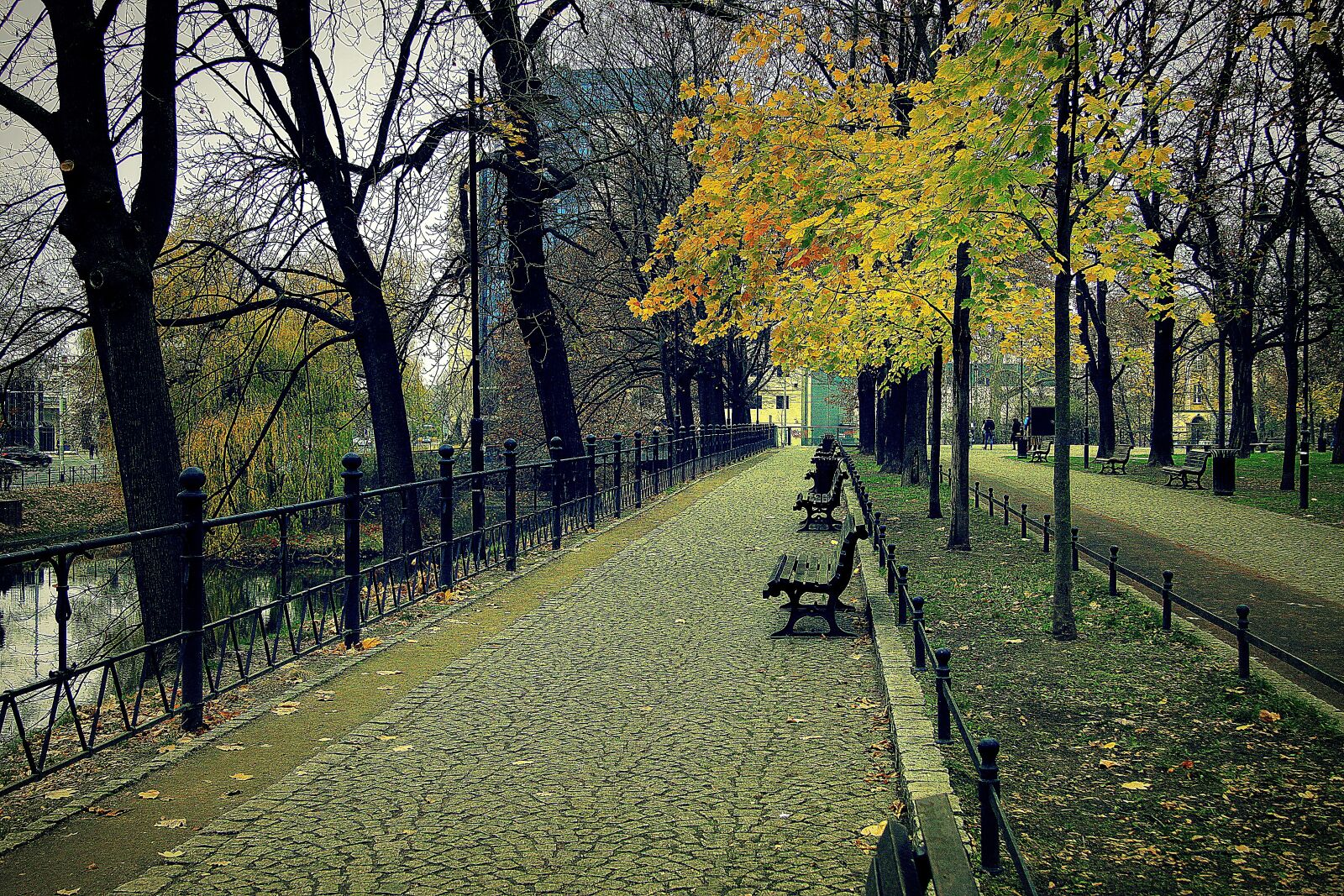 Canon EOS 50D sample photo. Wrocław, poland, autumn photography