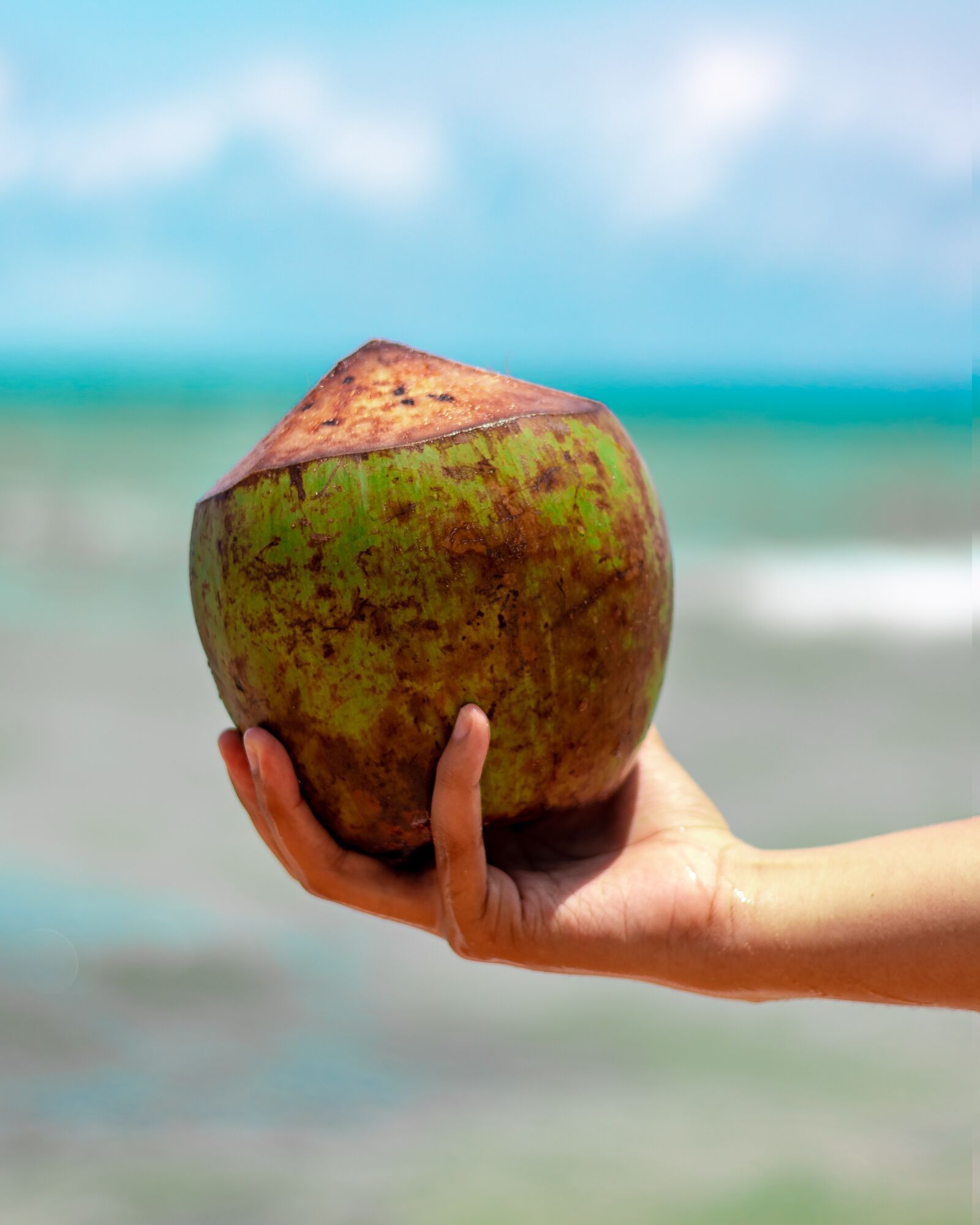 Canon EOS 80D sample photo. Vietnam, beach, summer photography