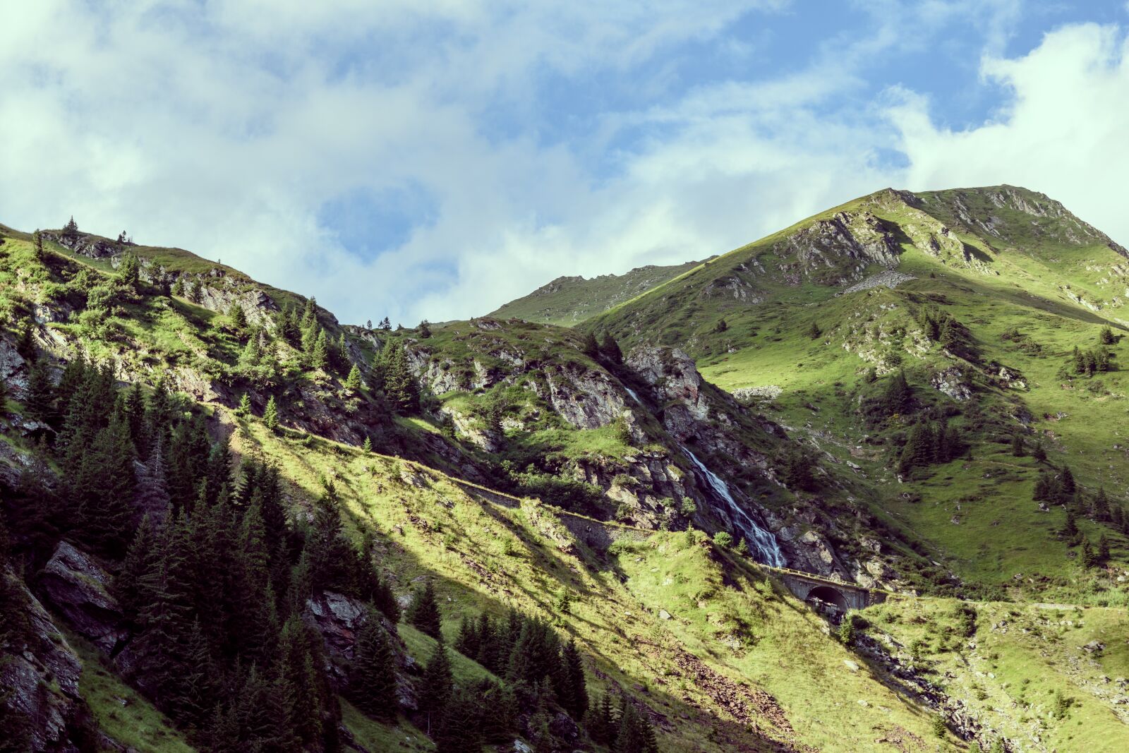 Nikon D5600 sample photo. Rom8nia, nature, rumania photography