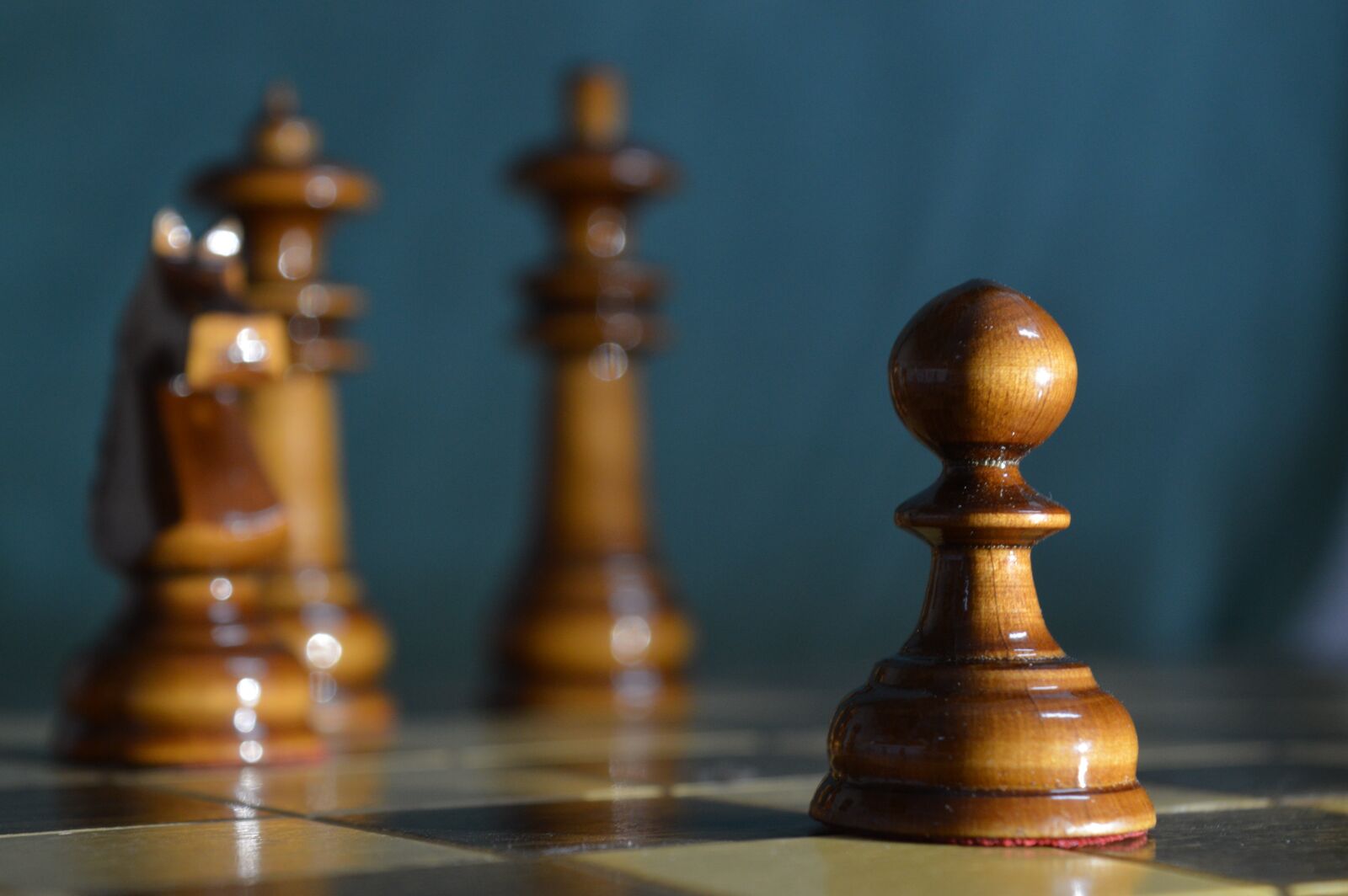 Nikon D3200 sample photo. Chess, royal, knight photography