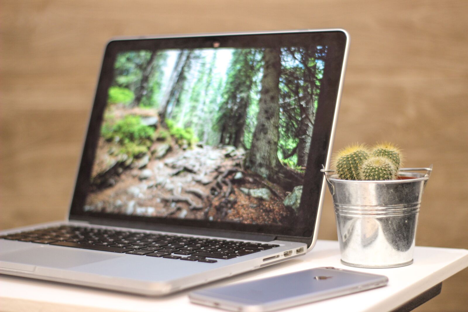 Canon EOS 600D (Rebel EOS T3i / EOS Kiss X5) sample photo. Computer, cactus, laptop photography