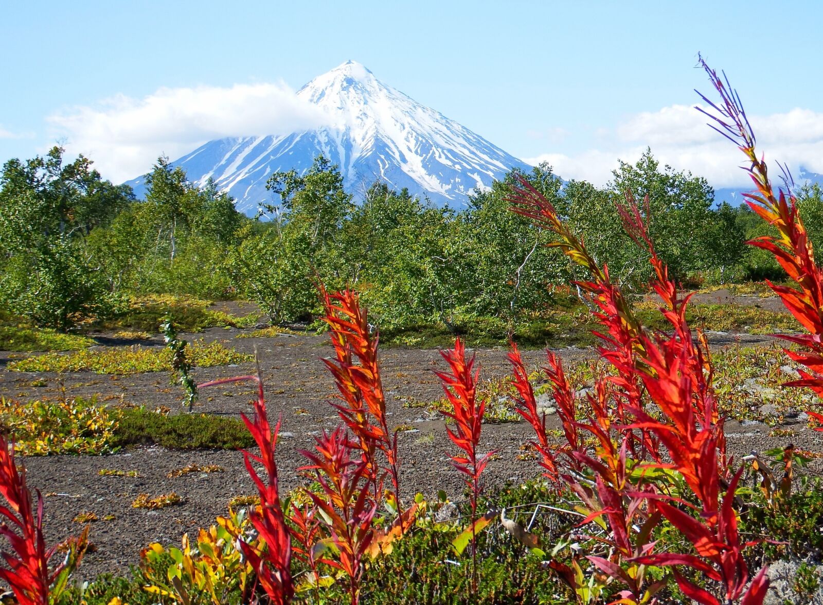 Fujifilm FinePix S1 sample photo. Volcano, forest, autumn photography