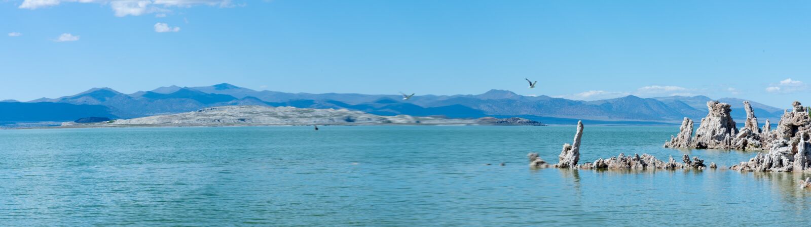 Nikon D750 sample photo. Nature, mono lake, mono photography