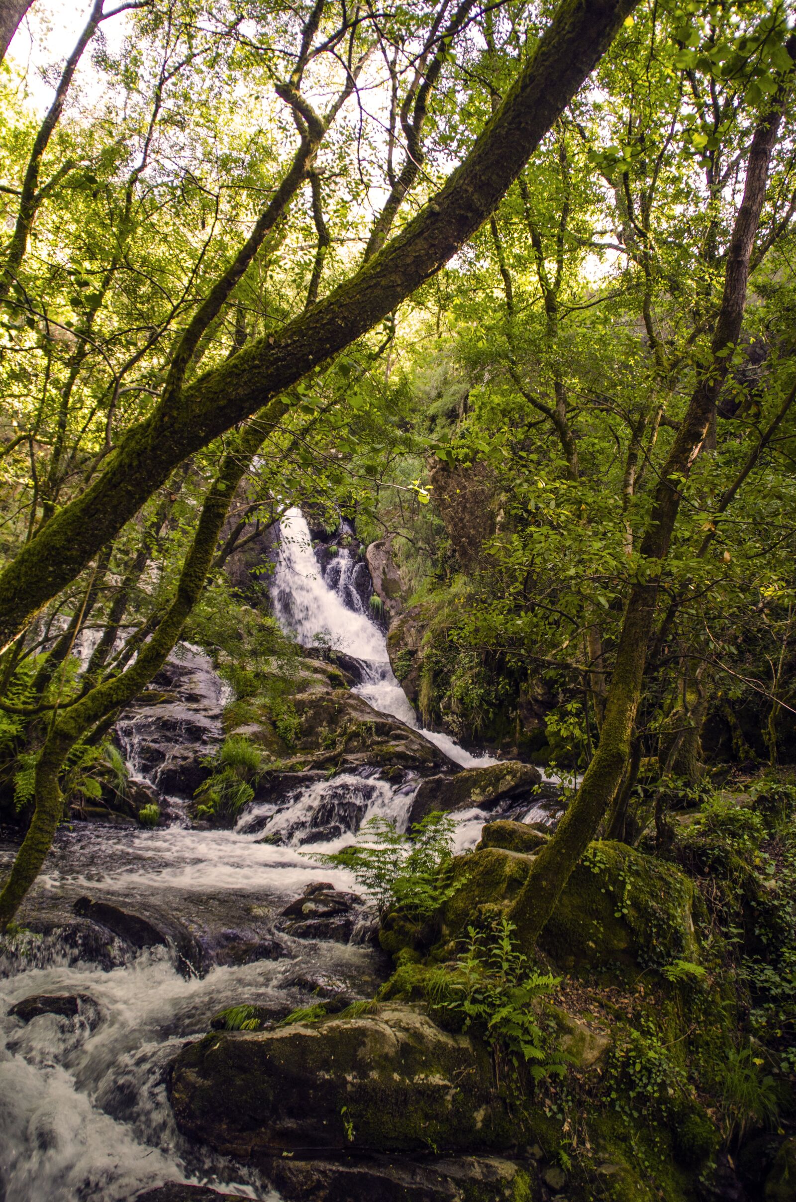 Nikon D5100 sample photo. Galicia, landscape, nature photography