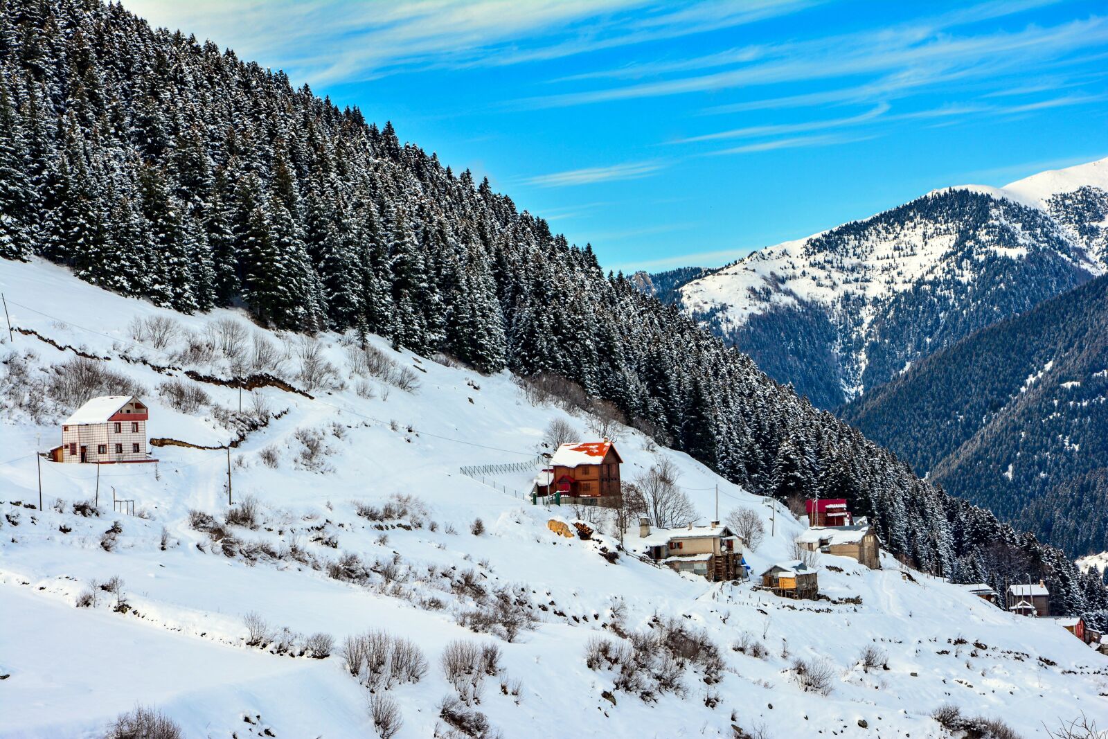 Nikon D7100 sample photo. Snow, mountain, forest photography