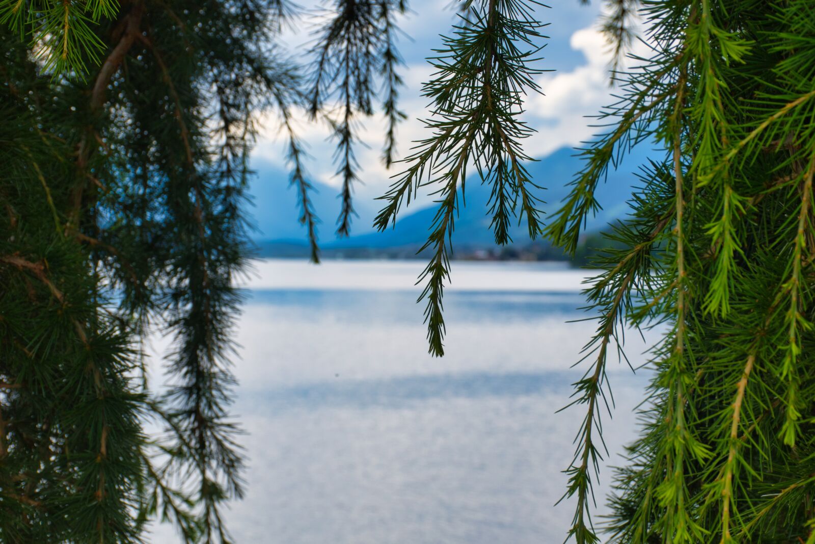Nikon D5600 sample photo. Vacations, water, lake photography