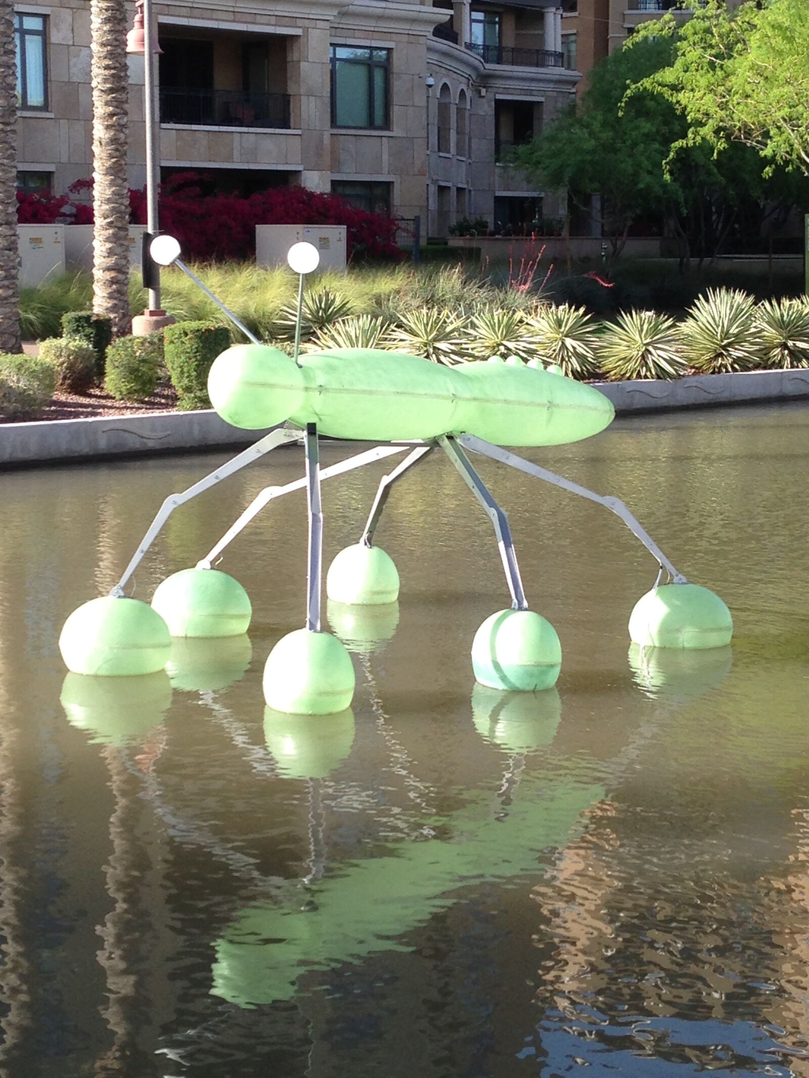 Apple iPhone 5 sample photo. Water bug, huge water photography