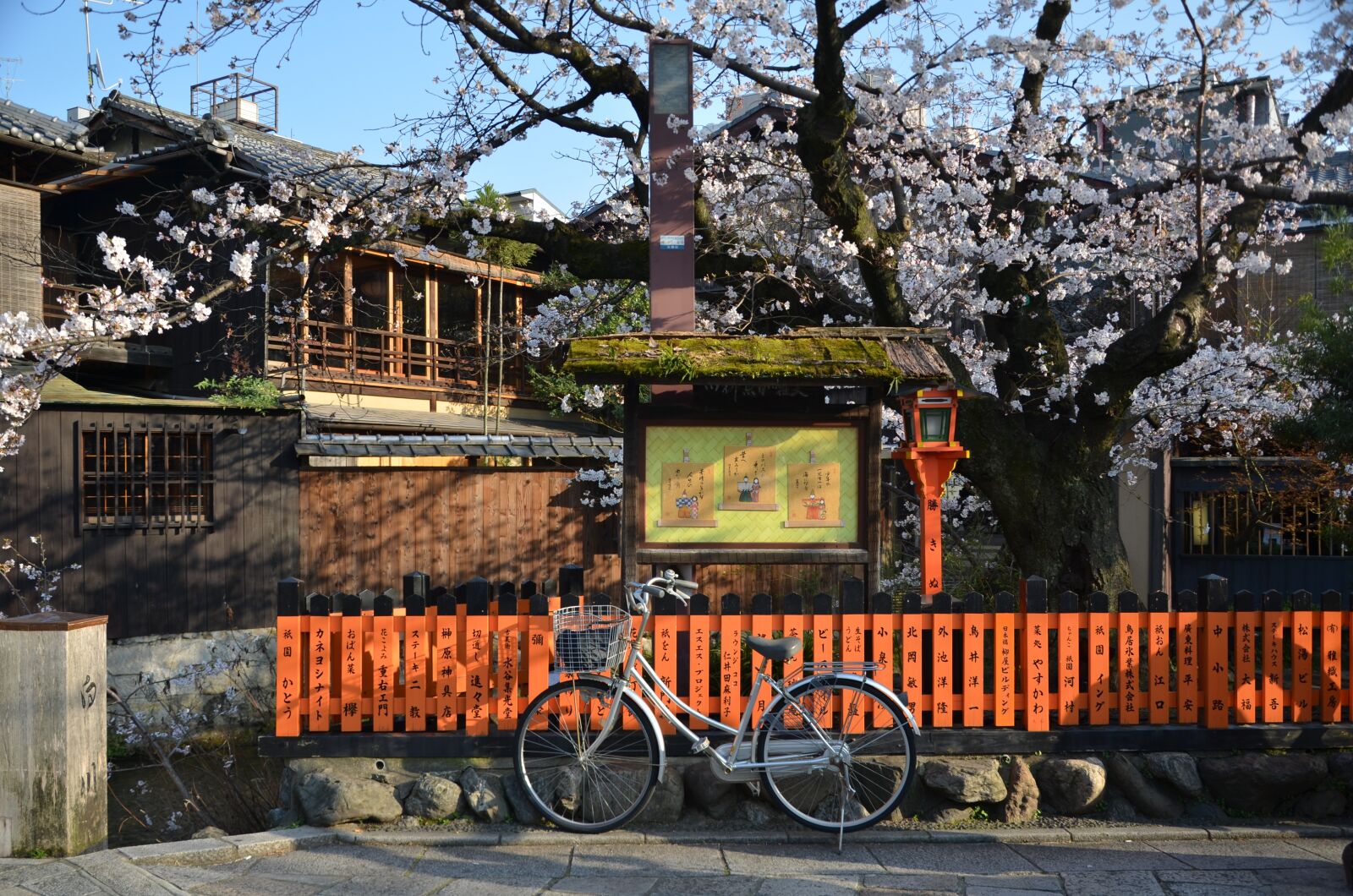 Nikon D7000 sample photo. Japan, kyoto, sakura photography