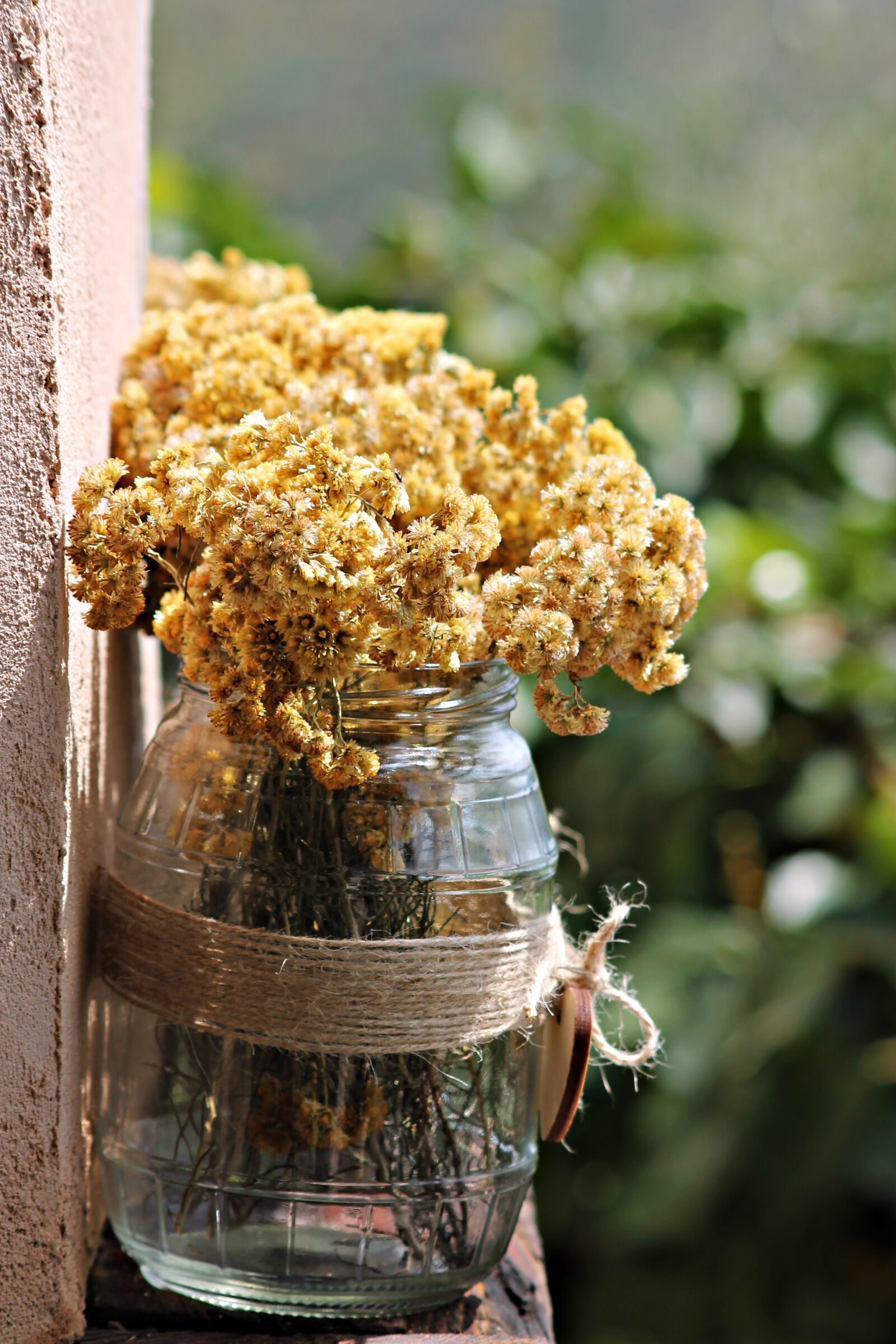 Canon EOS 1100D (EOS Rebel T3 / EOS Kiss X50) sample photo. Trim, floral, dry photography