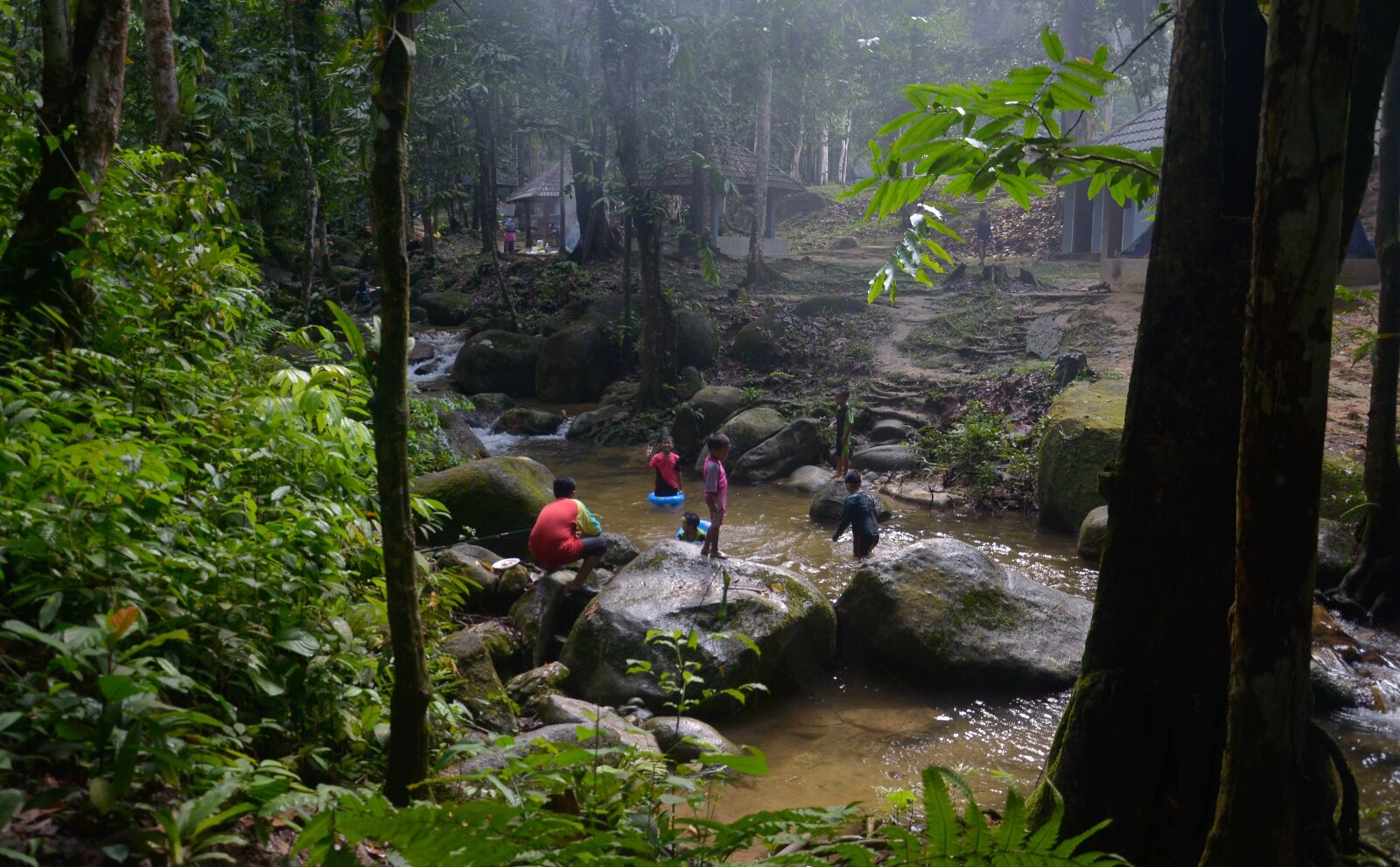 Nikon D7000 sample photo. Jungle, forest, rainforest photography