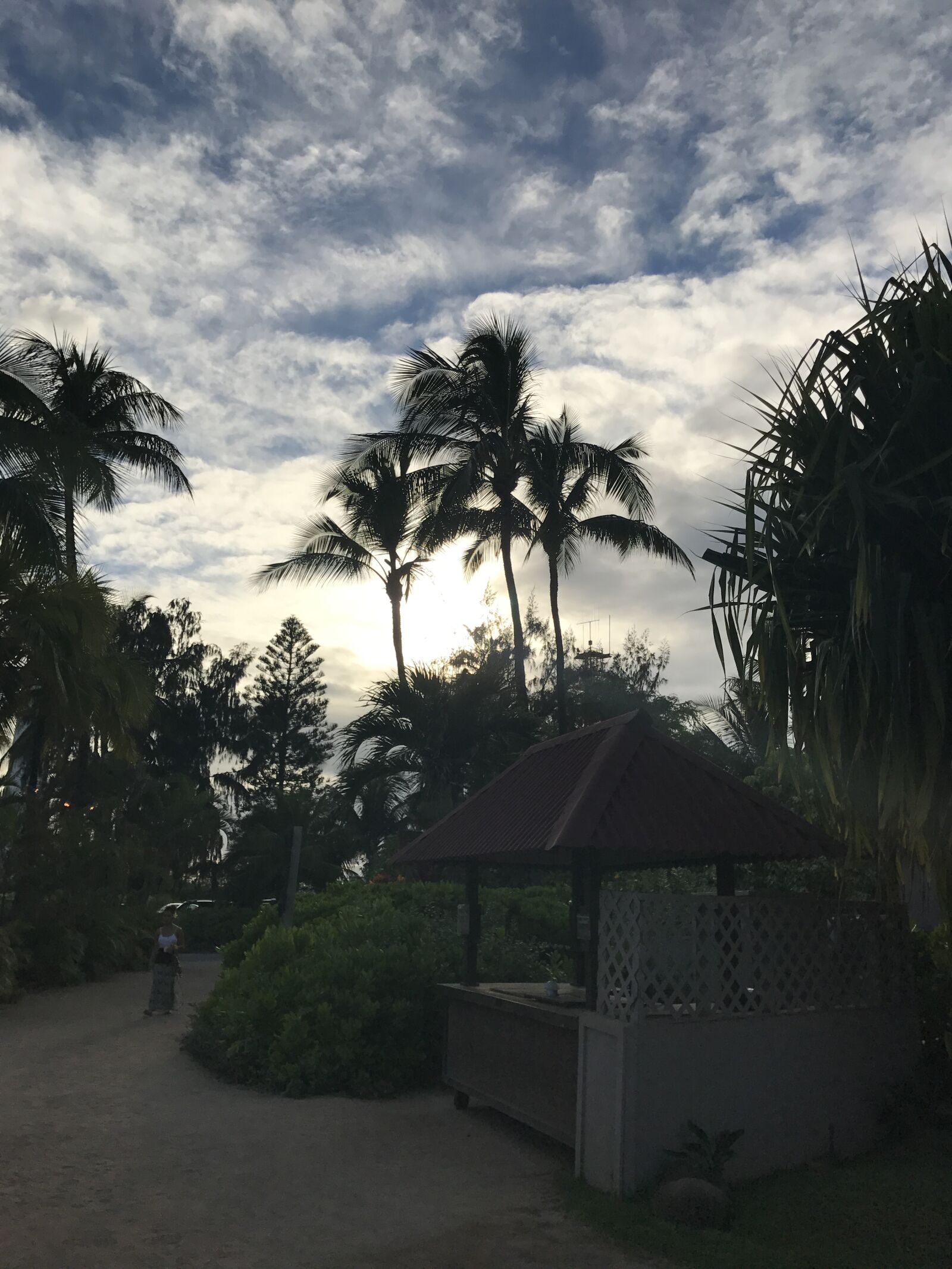 iPhone 7 back camera 3.99mm f/1.8 sample photo