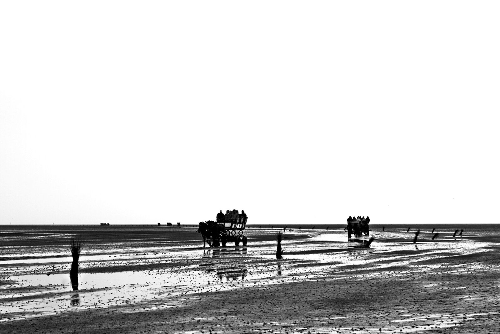 Canon EOS 1000D (EOS Digital Rebel XS / EOS Kiss F) sample photo. North sea, wadden sea photography
