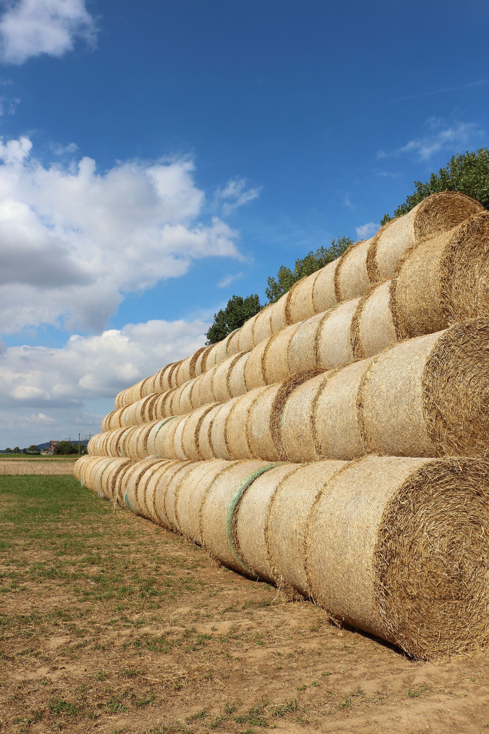 Canon EOS 700D (EOS Rebel T5i / EOS Kiss X7i) sample photo. Straw, straw bales, field photography