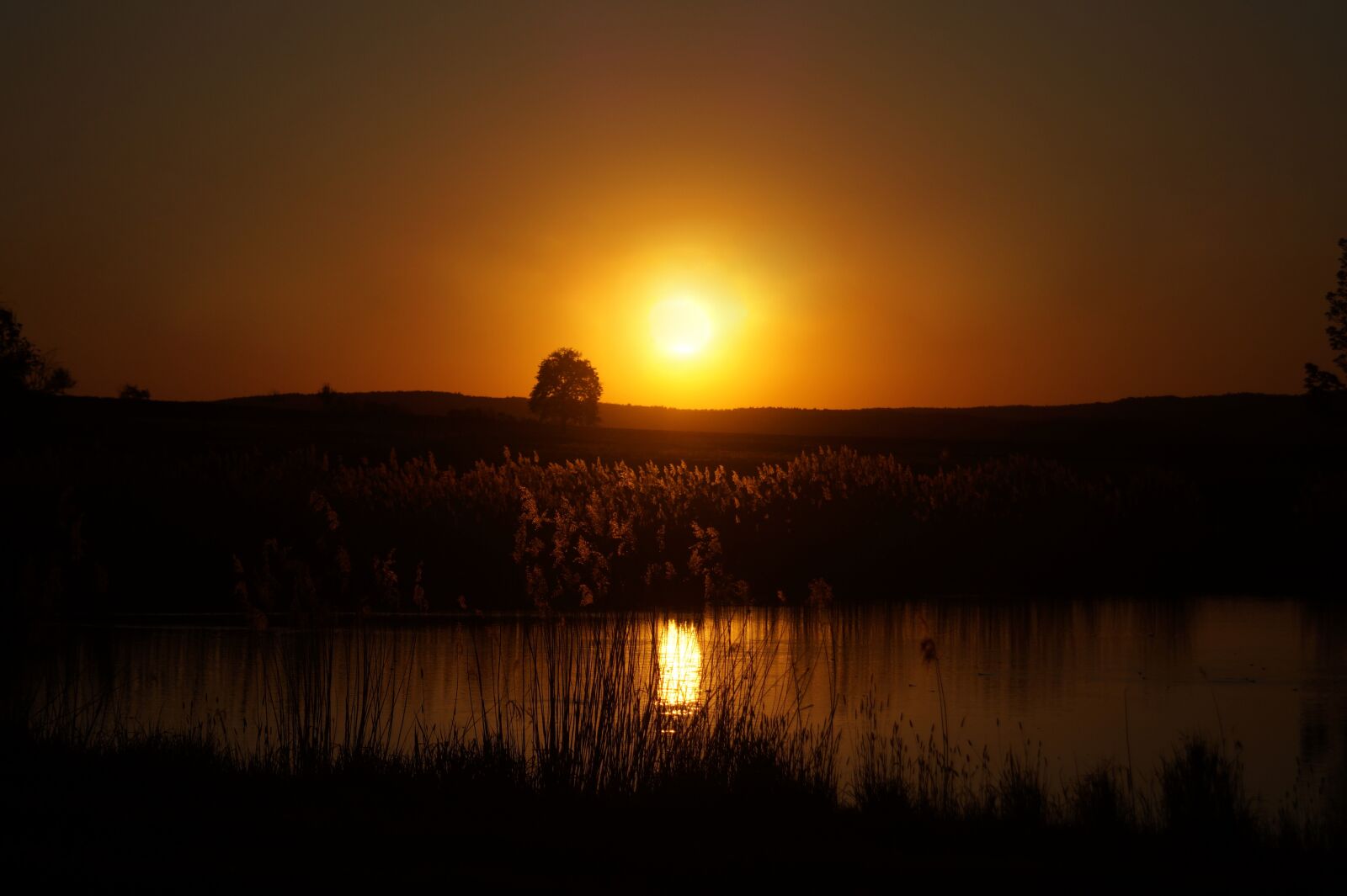 Sony SLT-A58 sample photo. Sun, orange, orange sun photography
