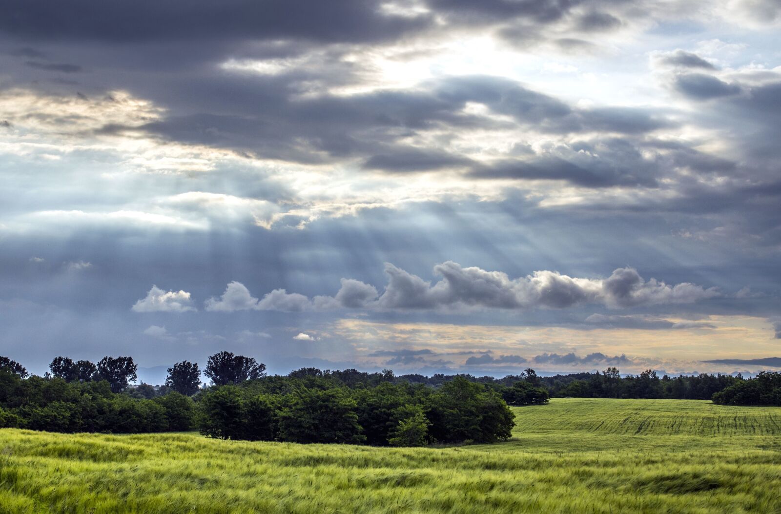 Canon EOS 60D sample photo. Village, sky, trees, field photography