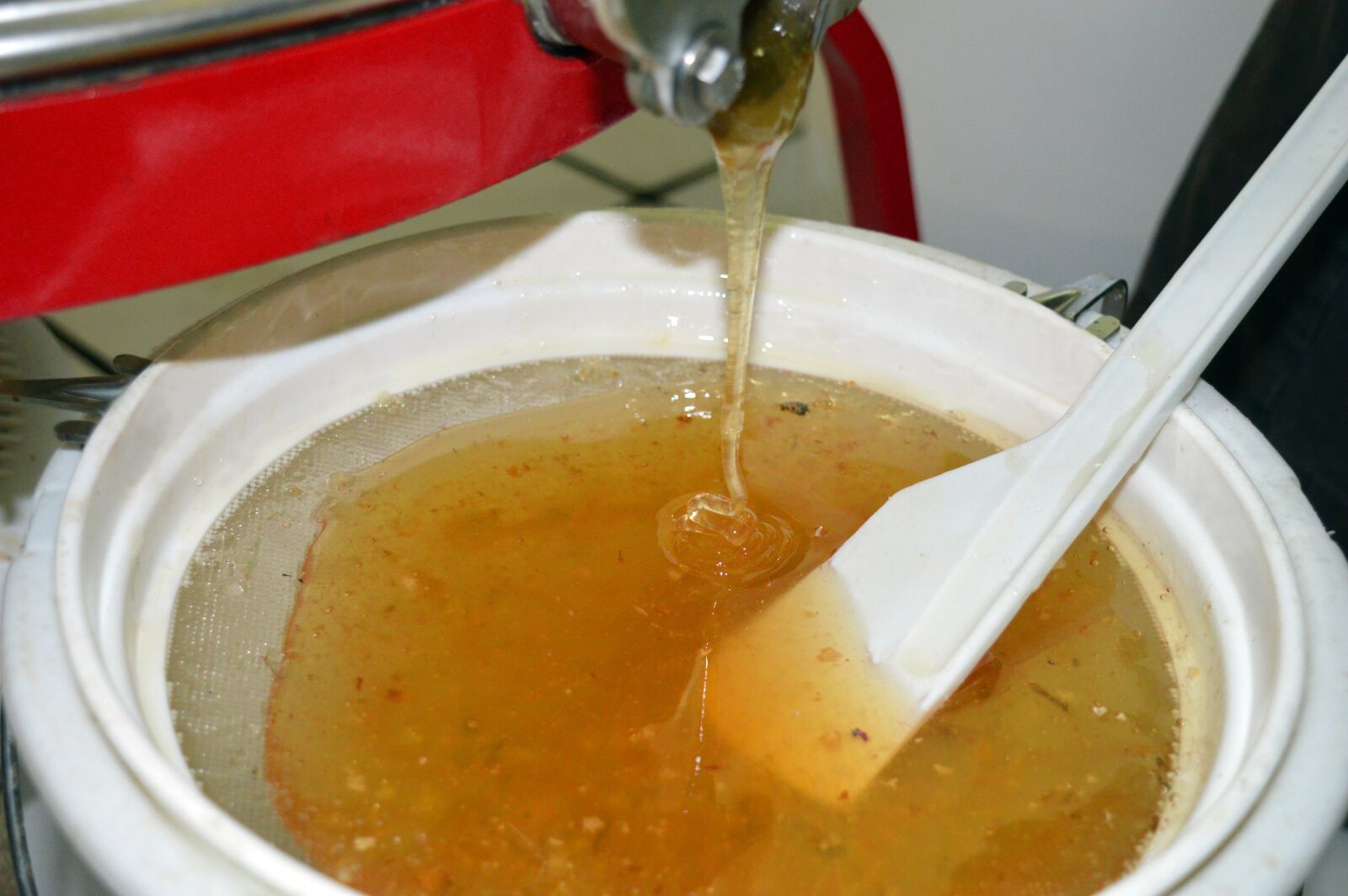 Nikon D3200 sample photo. Rape honey, honey, liquid photography