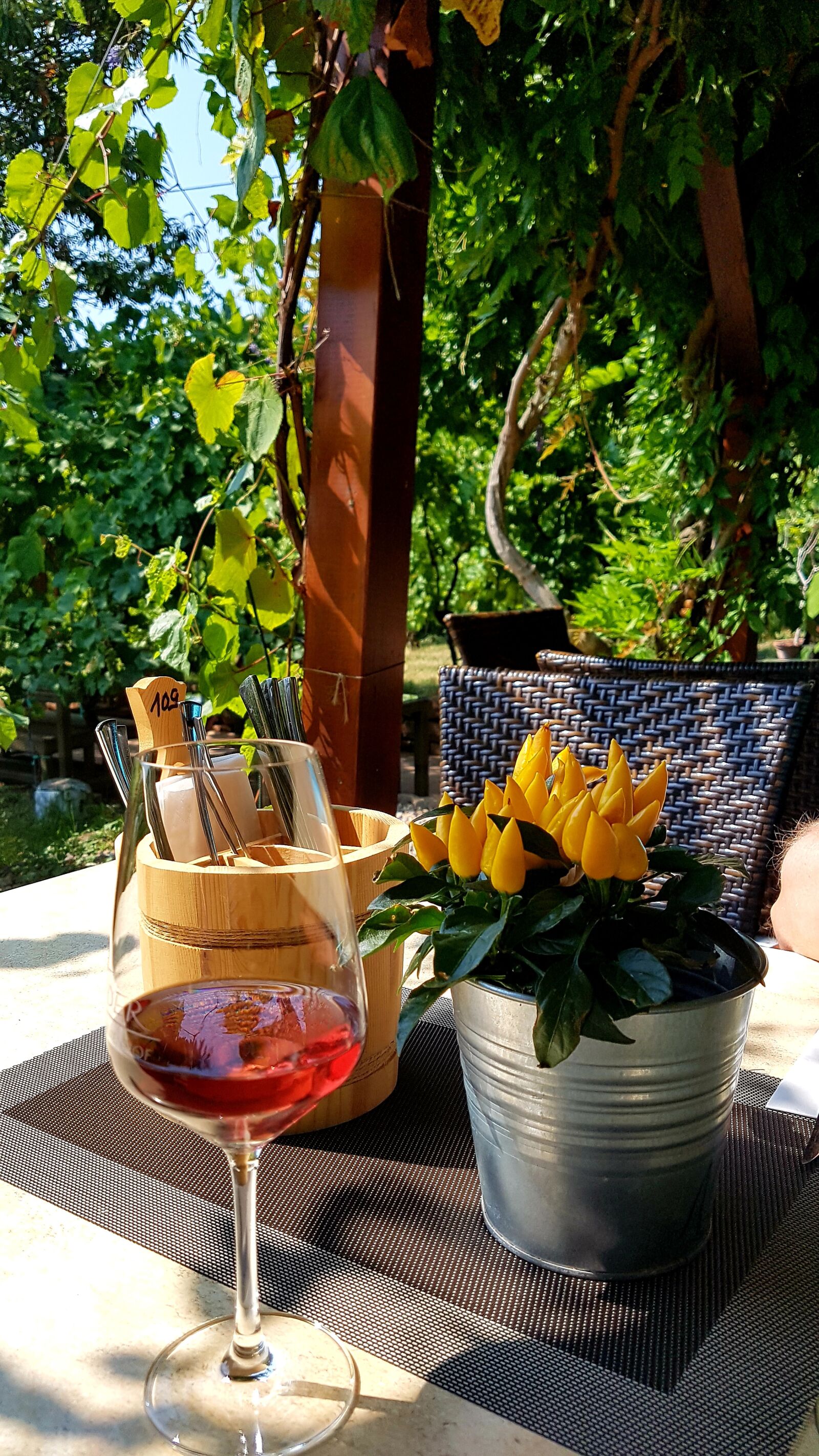 Samsung Galaxy S7 sample photo. Wine glass, summer, garden photography