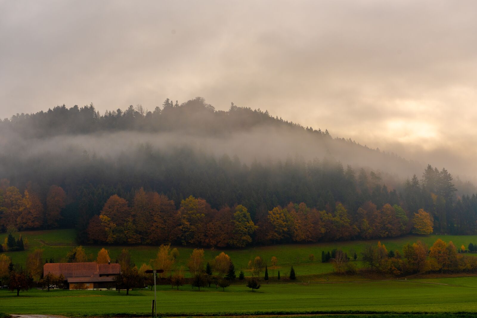 Nikon D810 sample photo. Haze, fog, autumn photography