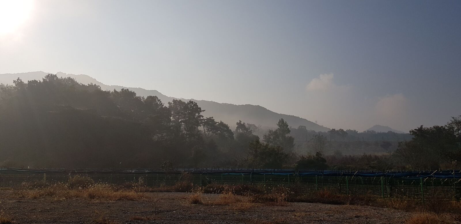 Samsung SM-N950N sample photo. Fog, mountain, sunrise photography