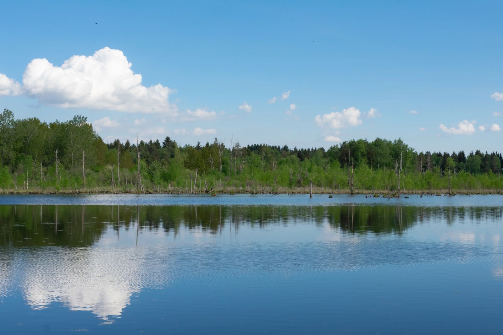 Nikon D3400 sample photo. Landscape, mirror, reflection photography