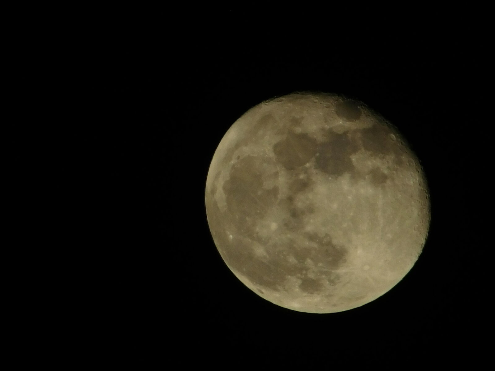 Nikon Coolpix L840 sample photo