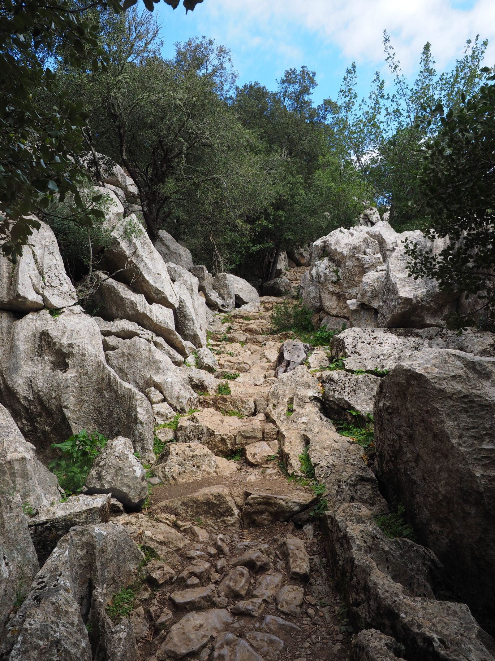 Olympus OM-D E-M1 + Olympus M.Zuiko Digital ED 12-40mm F2.8 Pro sample photo. Trail, rock, limestone photography