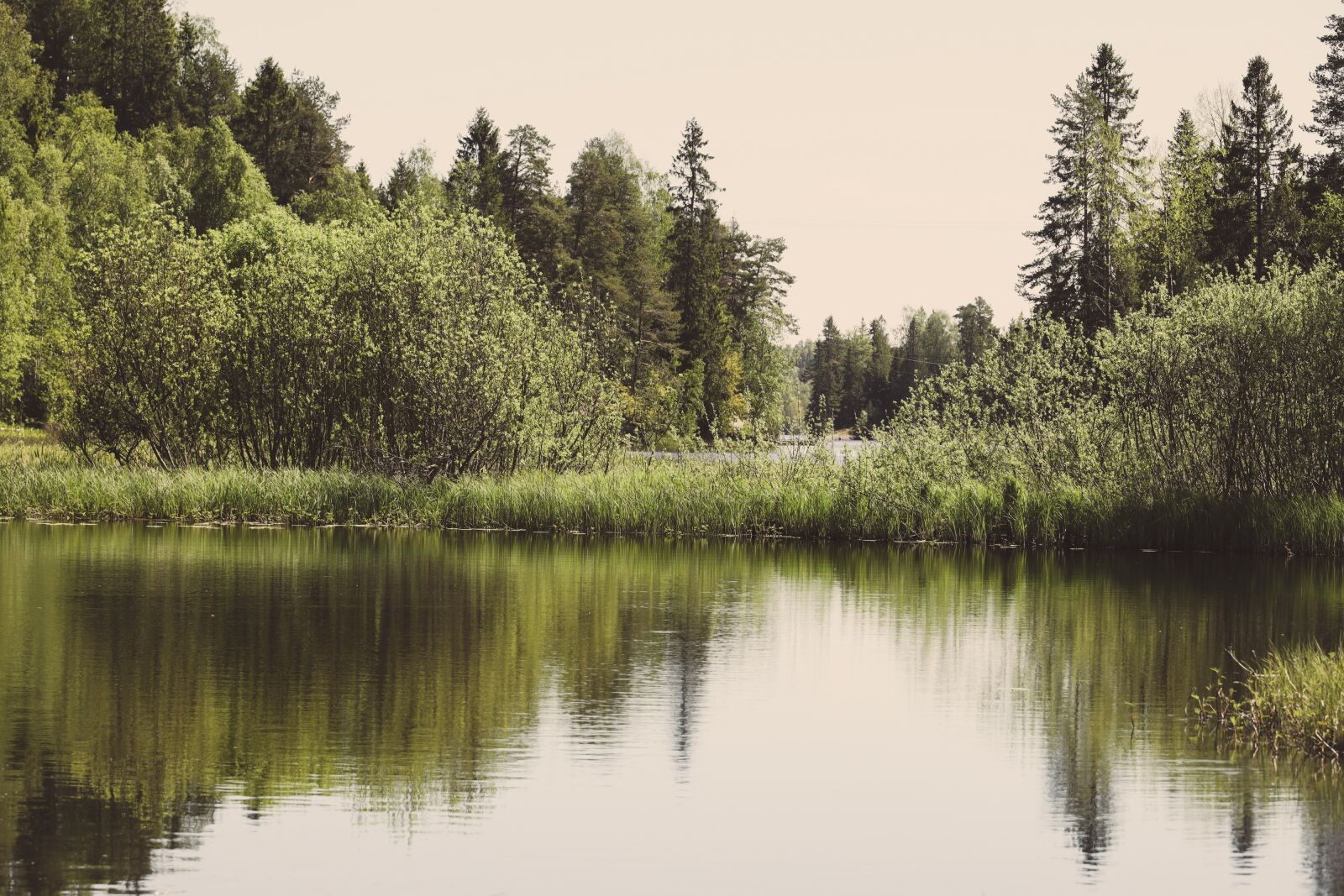 Canon EOS R sample photo. Water, lake, trees photography