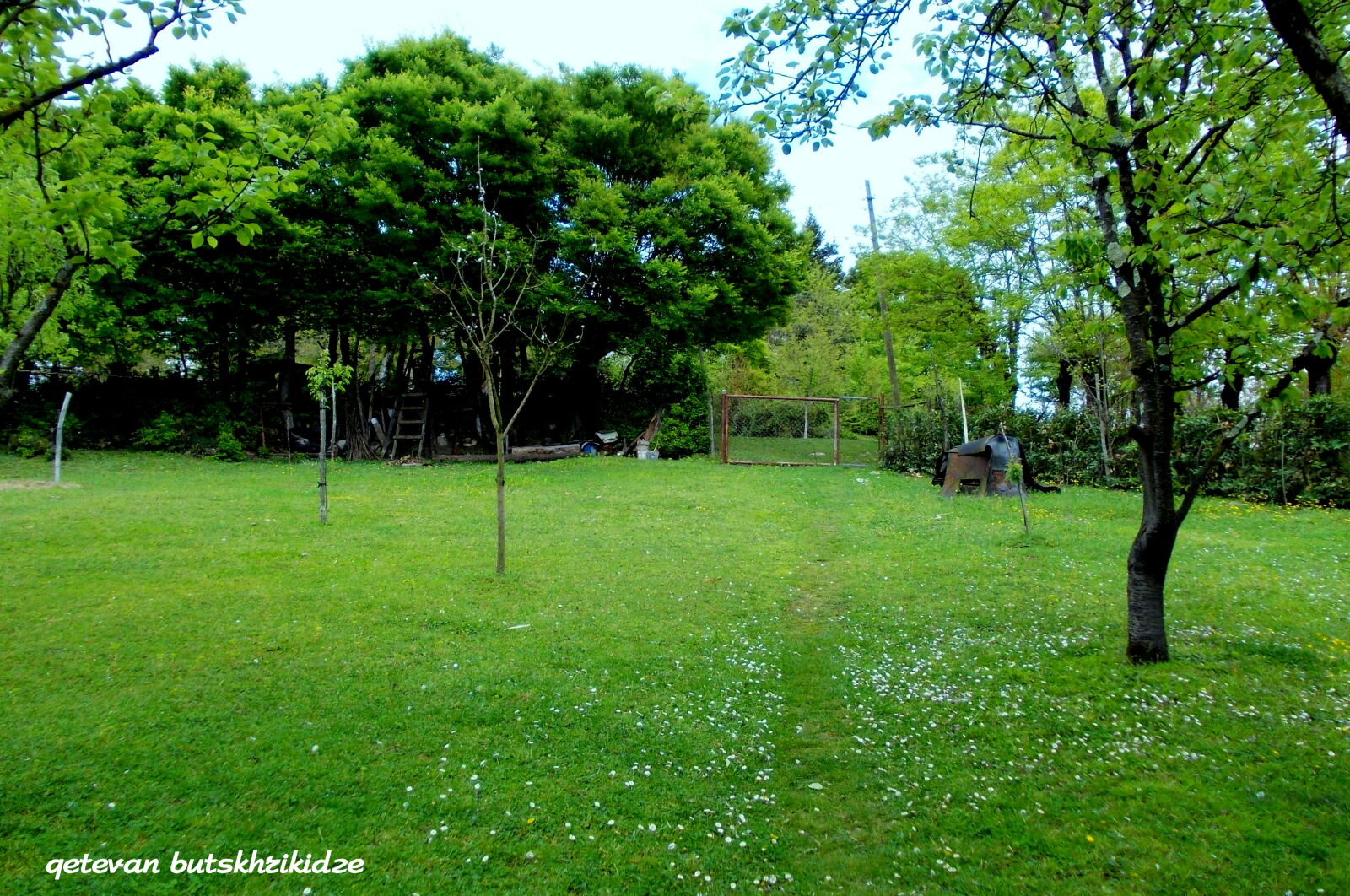 Nikon COOLPIX L25 sample photo. Green, nature, village, yard photography
