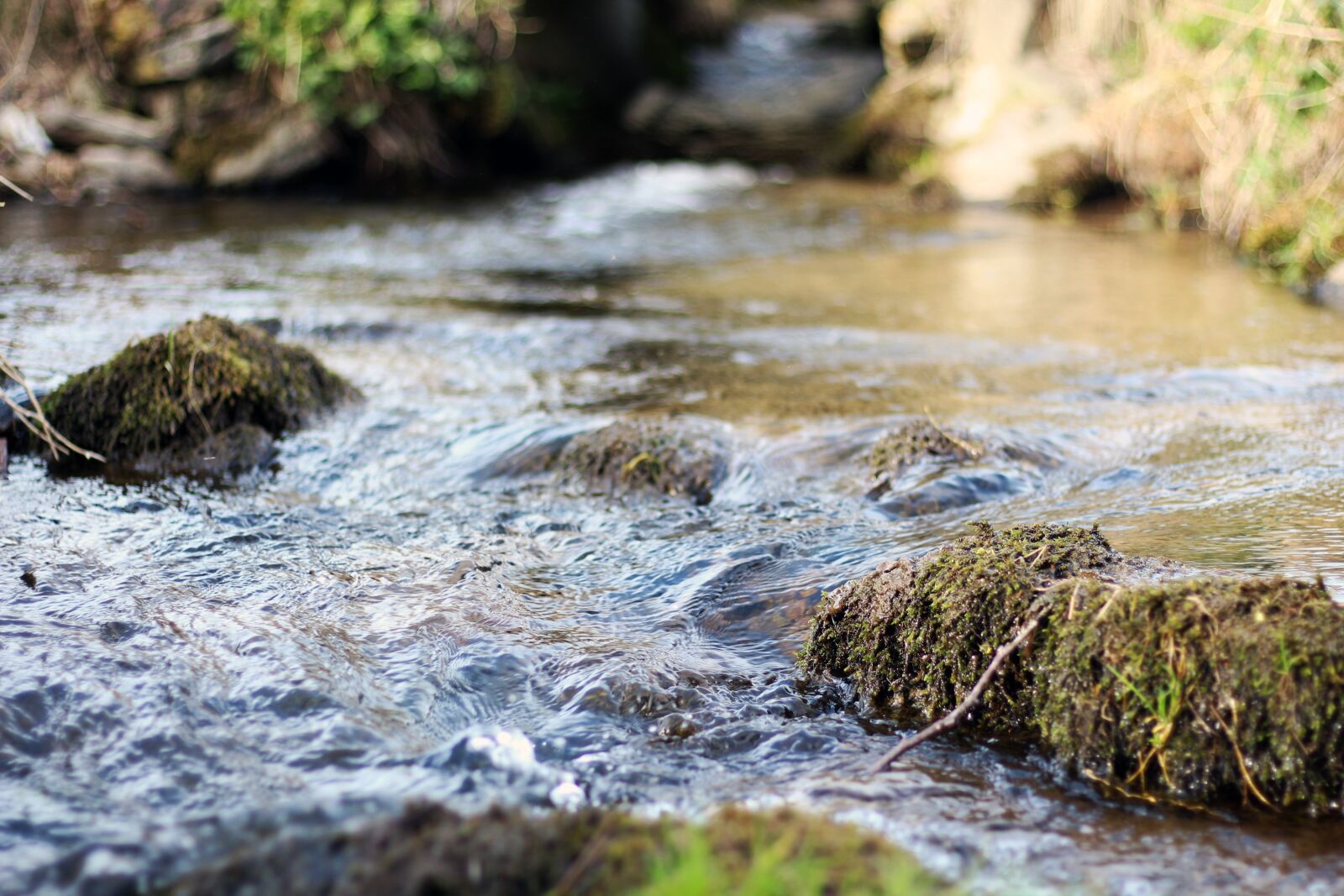 Canon EOS 650D (EOS Rebel T4i / EOS Kiss X6i) + Canon EF 50mm F1.8 STM sample photo. Water, river, small water photography