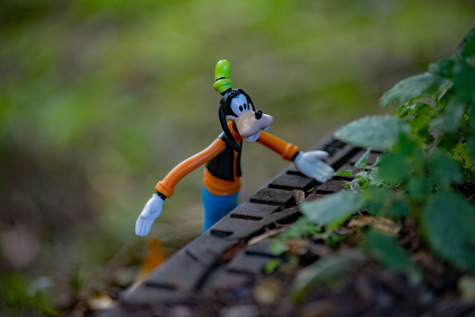 Canon EOS 6D Mark II sample photo. Disney, autumn, goofy photography