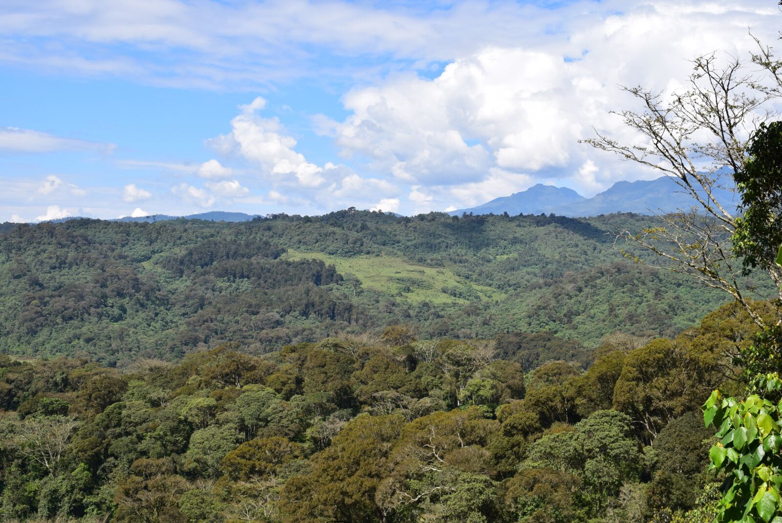Nikon D3300 sample photo. Nature, panoramic, landscape photography