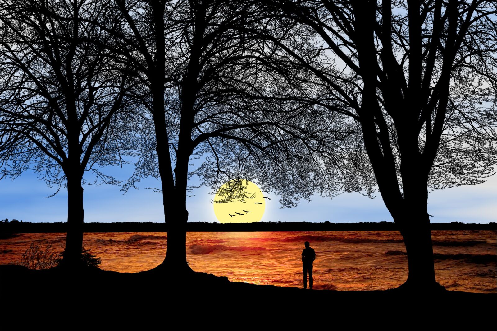 Nikon D40 sample photo. Nature, sunset, trees photography